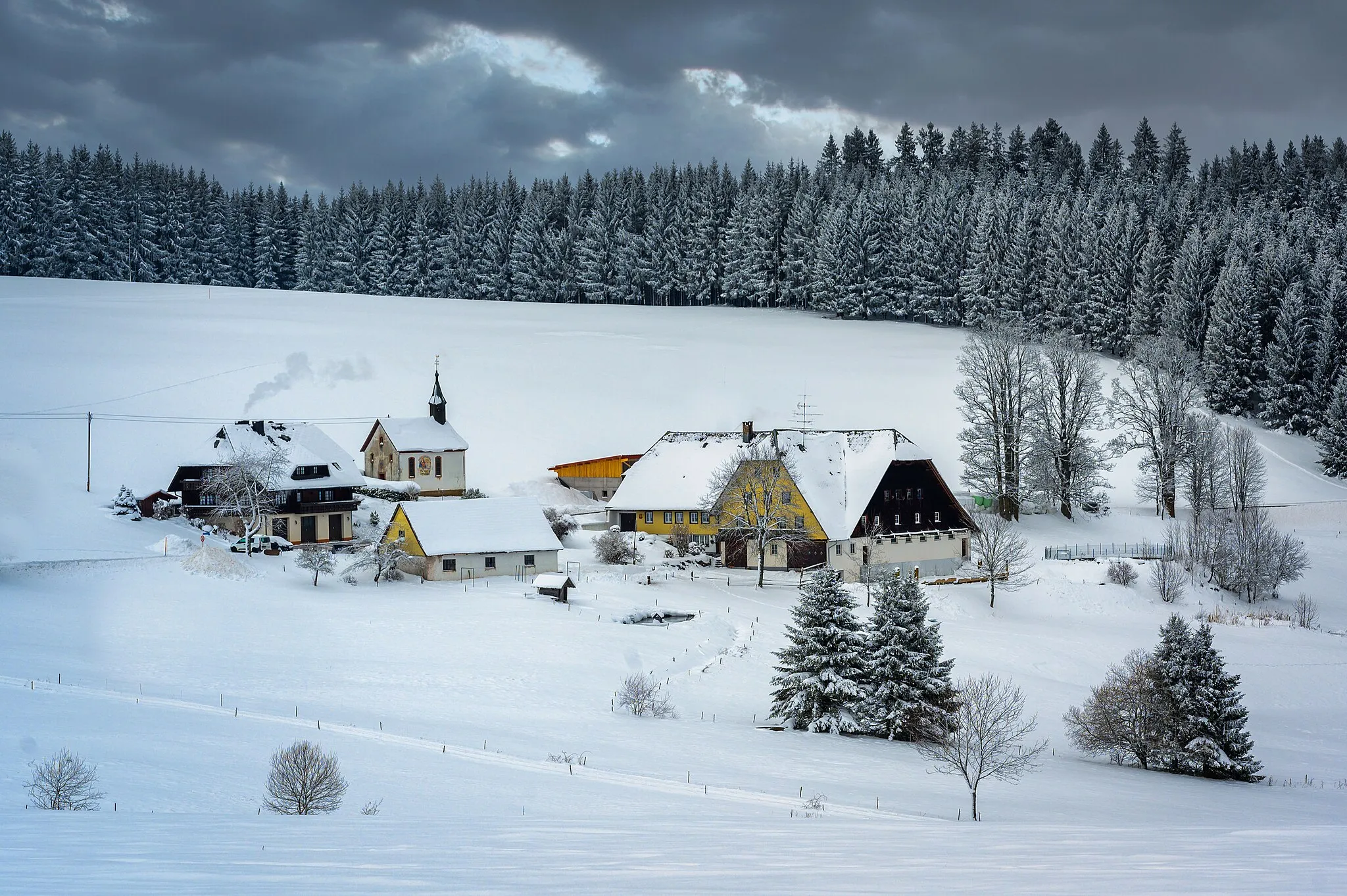 Photo showing: winter im schwarzwald