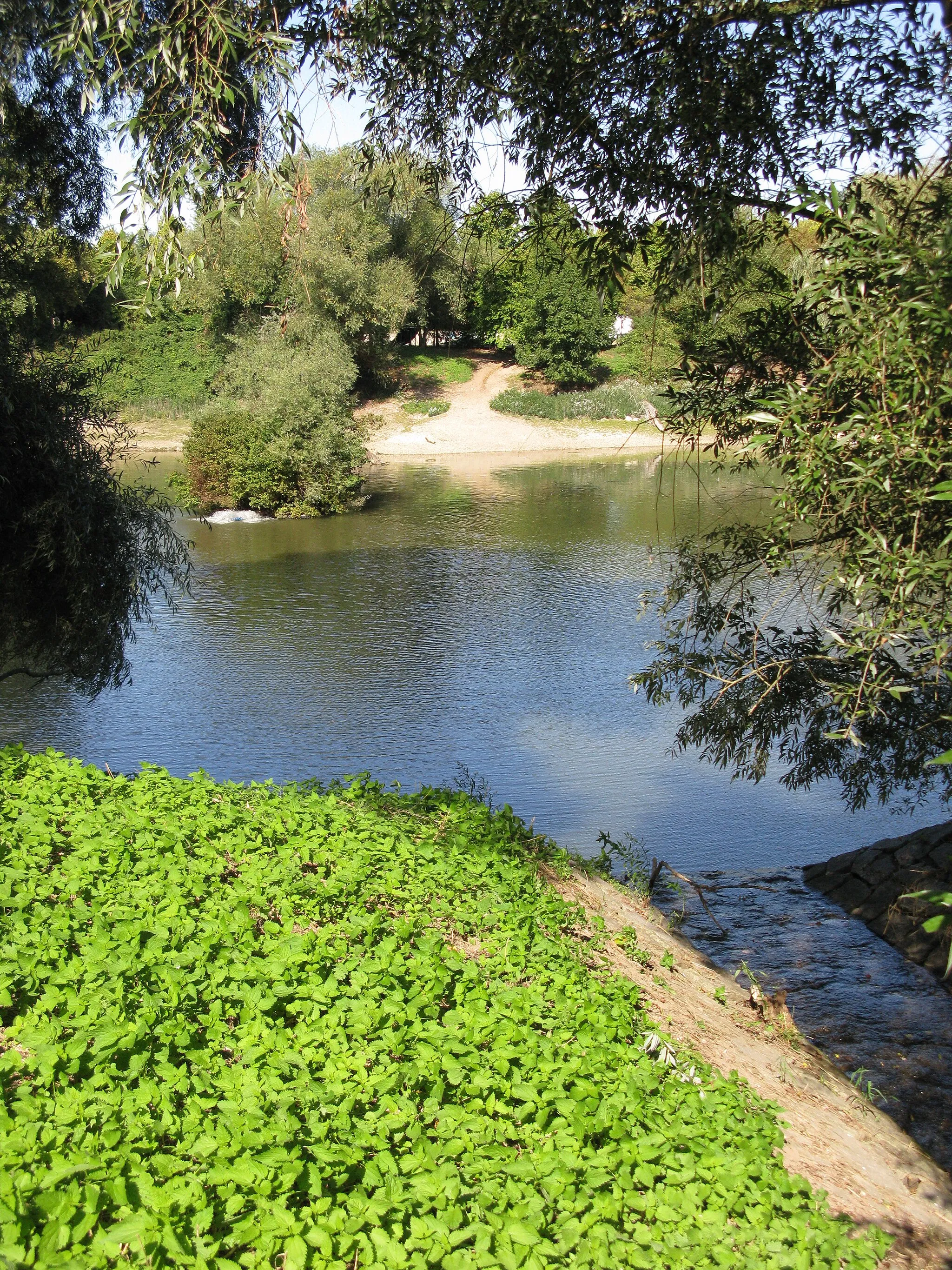 Photo showing: Wuhrlochpark in Neuenburg am Rhein, schwimmende Insel und Klemmbachzulauf