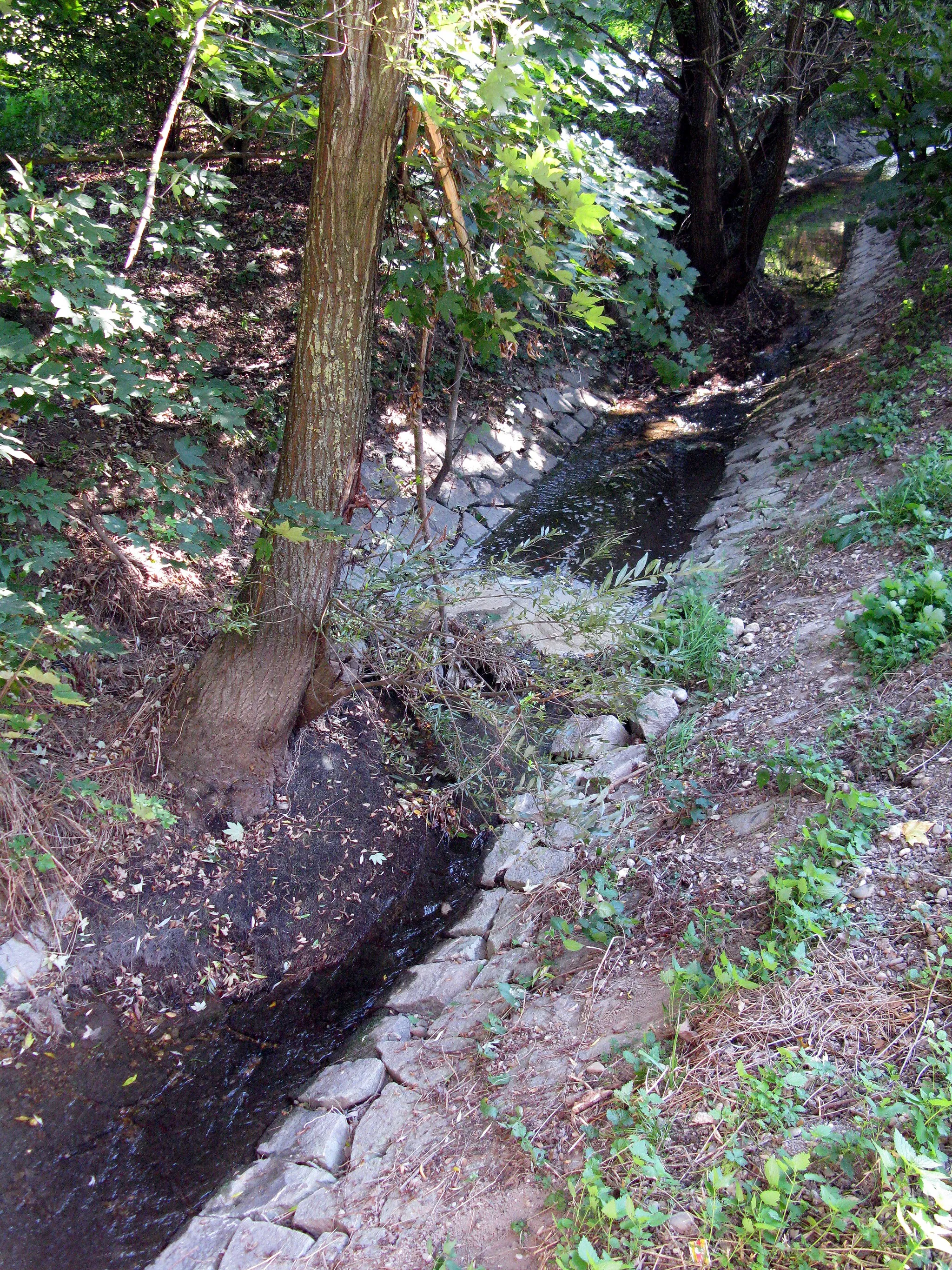 Photo showing: Wuhrlochpark in Neuenburg am Rhein, Klemmbach