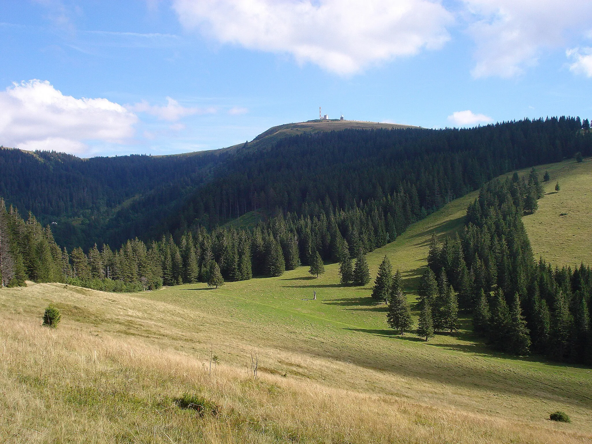 Photo showing: Feldberg im Schwarzwald aus Richtung NNW