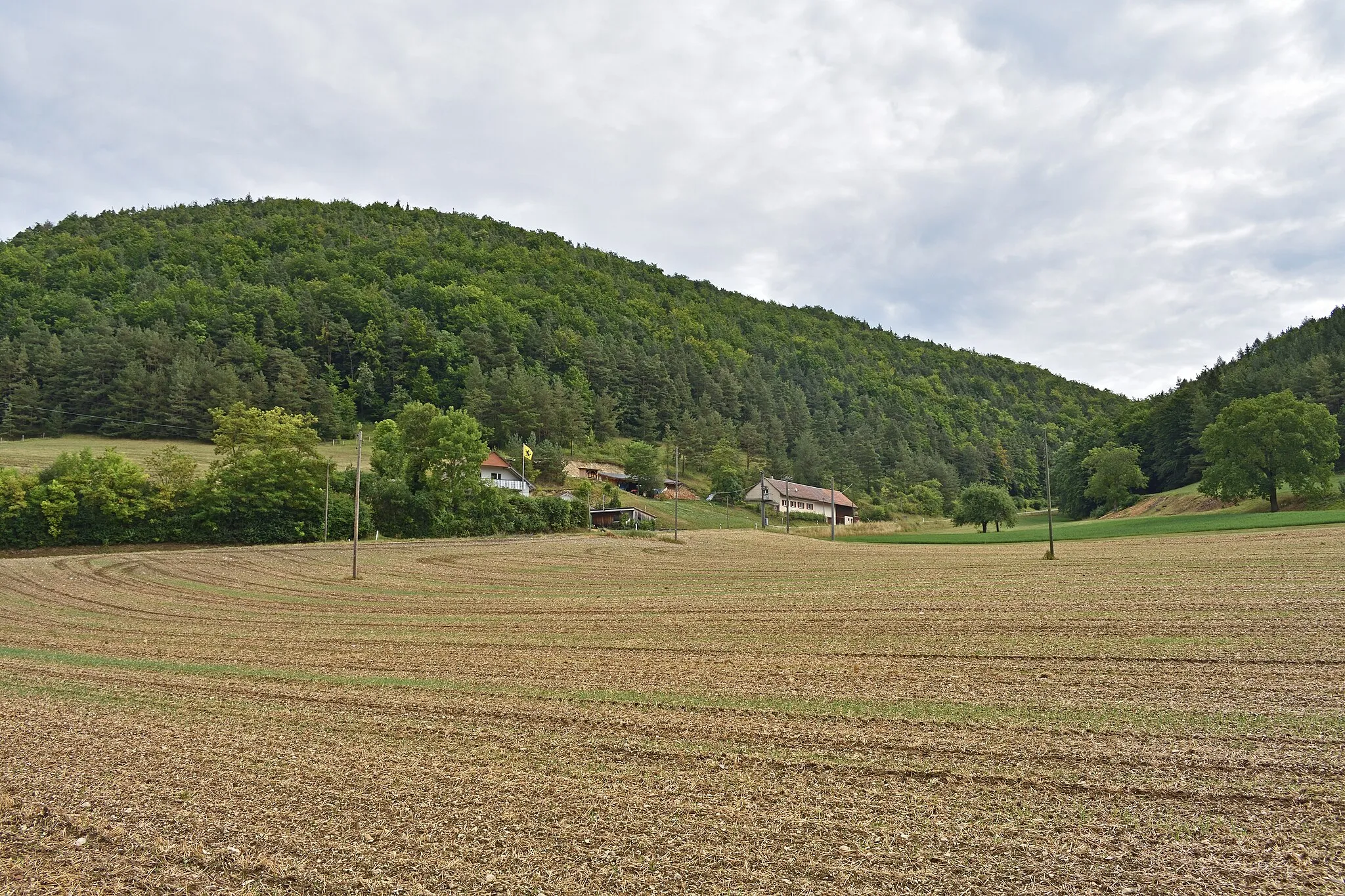 Photo showing: A field next to Schlauchstraße at the border with Switzerland, Wiechs am Randen, Baden-Württemberg, Germany