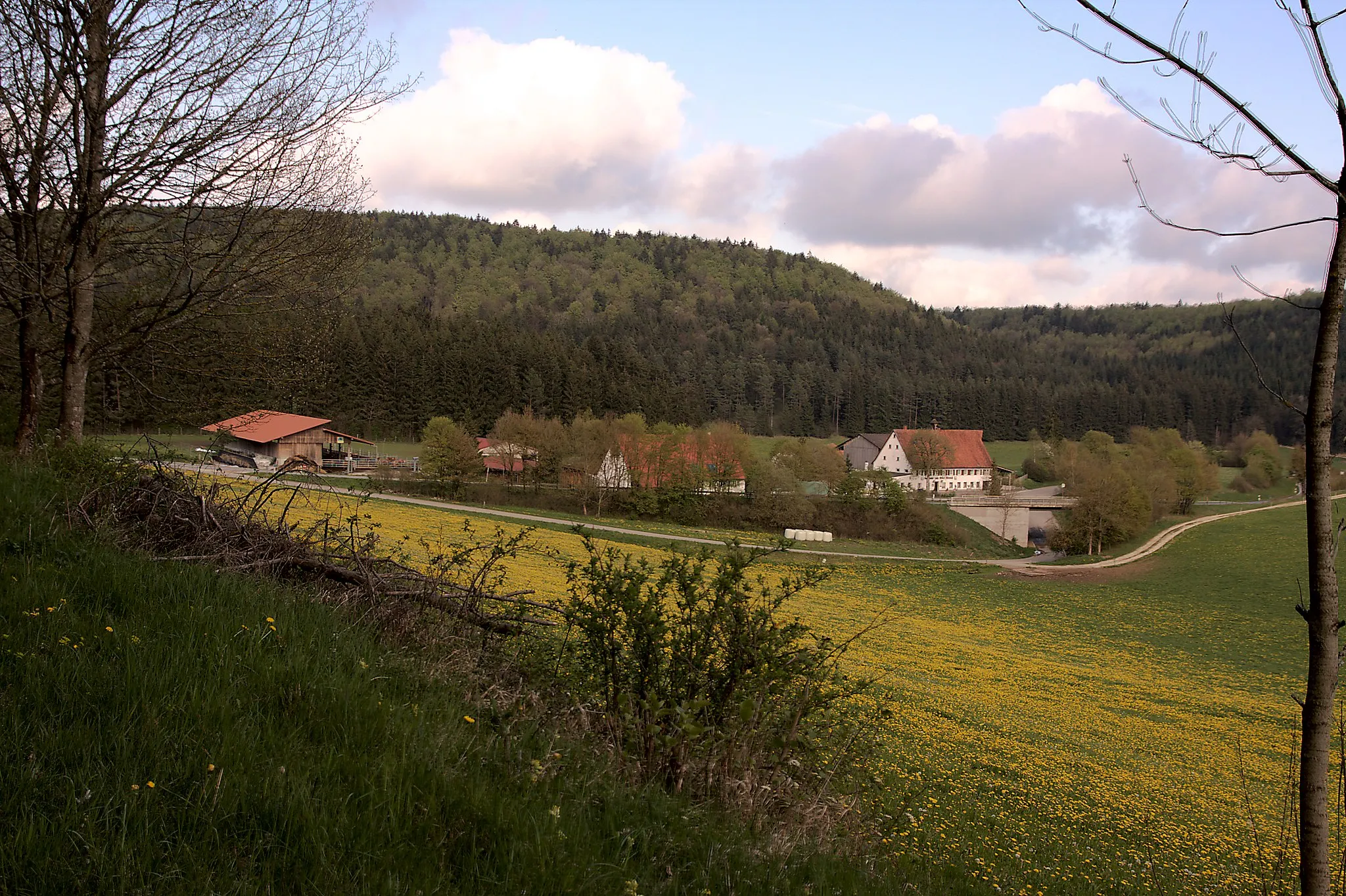 Photo showing: Der Weiler Altental bei Tuttlingen. HDR.