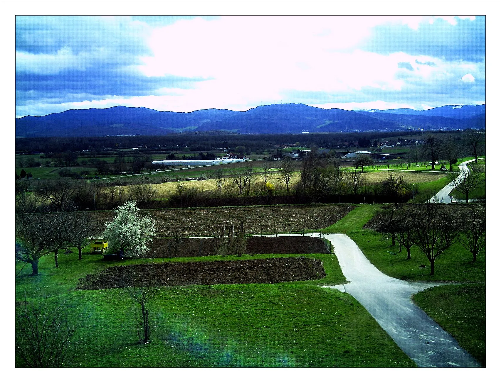 Photo showing: April  Frühling Freiburg im Breisgau magic Black Forest Mountains selva negra - Deutschland magic Germany 2013