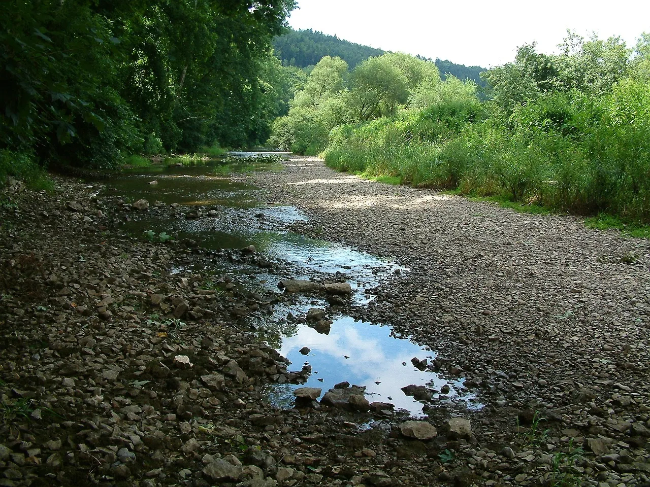 Photo showing: The first Danube (Donau) sinking at village Immendingen, Germany. The water of Danube appears 12 km from here in the spring of Ach river, which flows through the Lake Constance (Bodensee) into the river Rhine (Rhein). So we can say the river Danube feeds the river Rhine. Amazing!!!