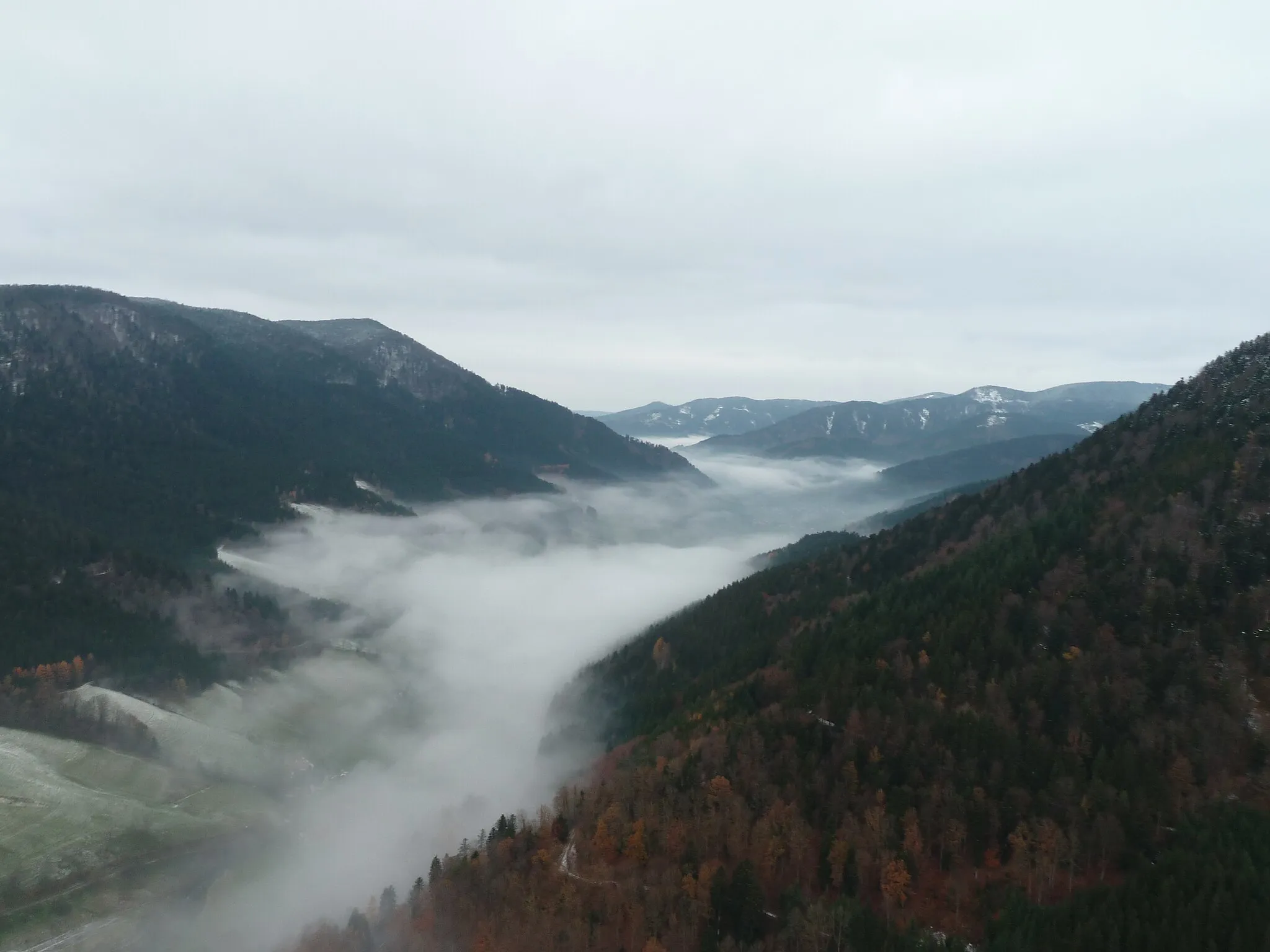 Photo showing: Fog in Simonswäldertal