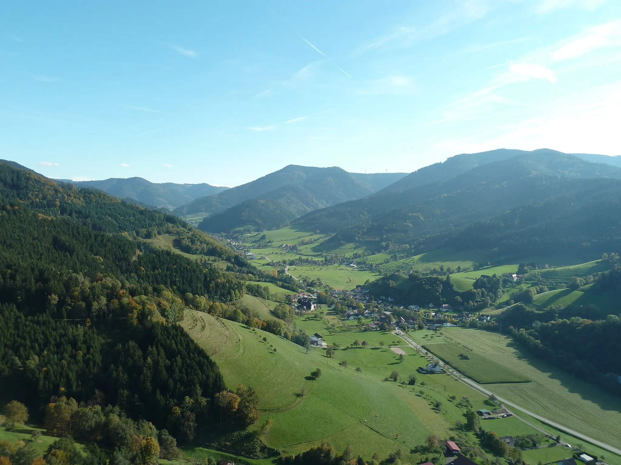 Photo showing: Simonswäldertal (Valley)