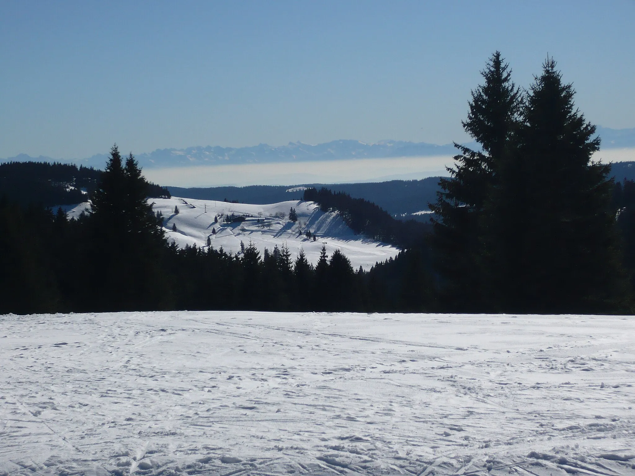 Photo showing: Blick von der Herzogenhorn-Loipe Richtung Krunkelbachhütte