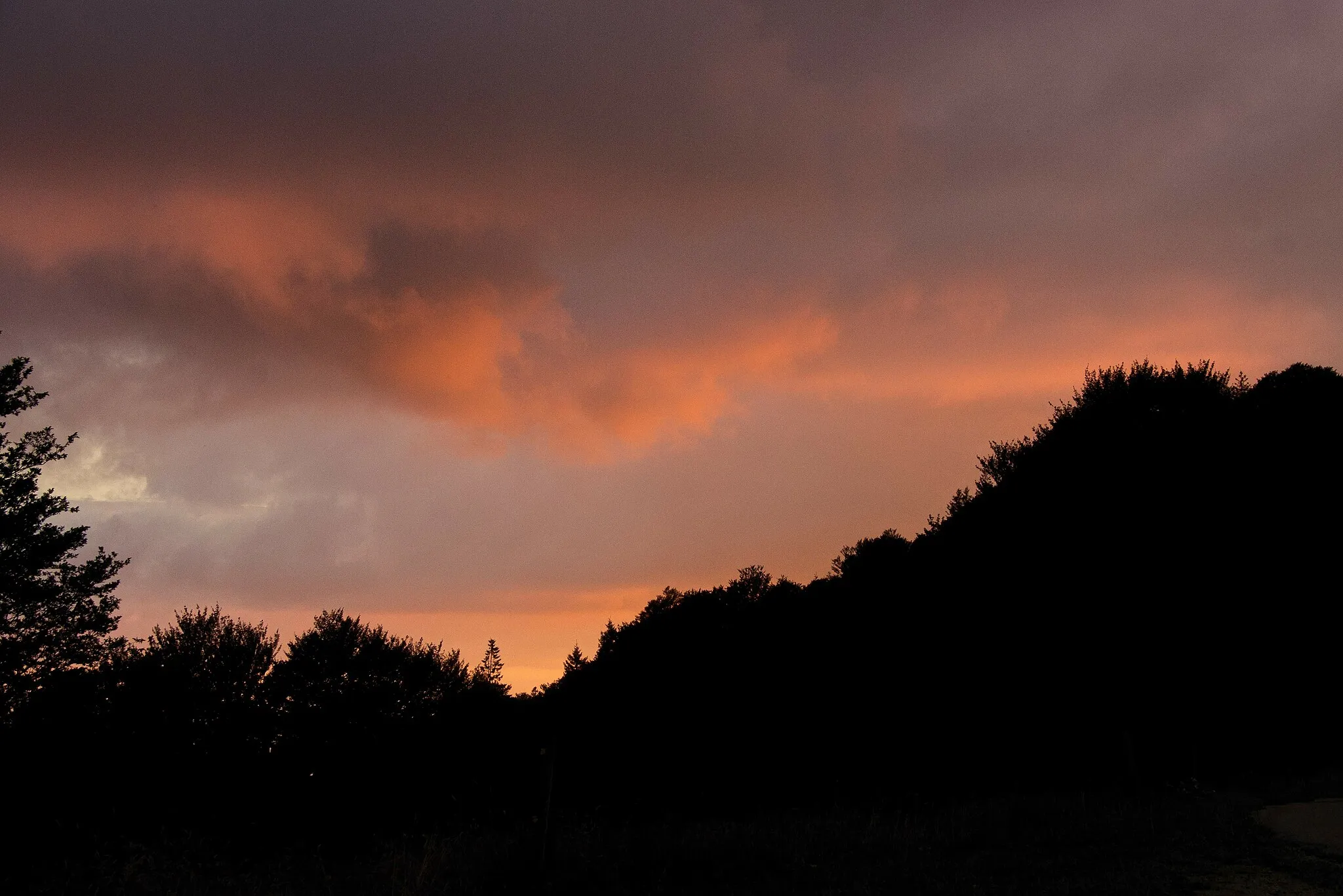 Photo showing: Pfad der Sinne am Schauinsland