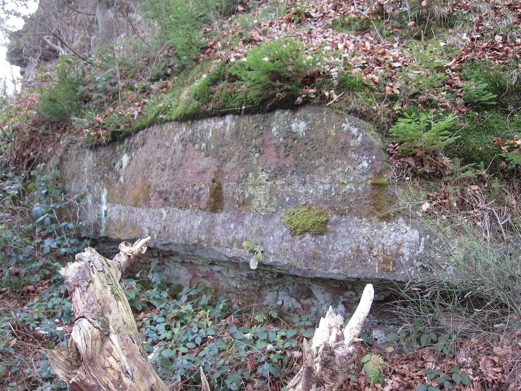 Photo showing: Heidburg, possibly dressed stone inside the castle area