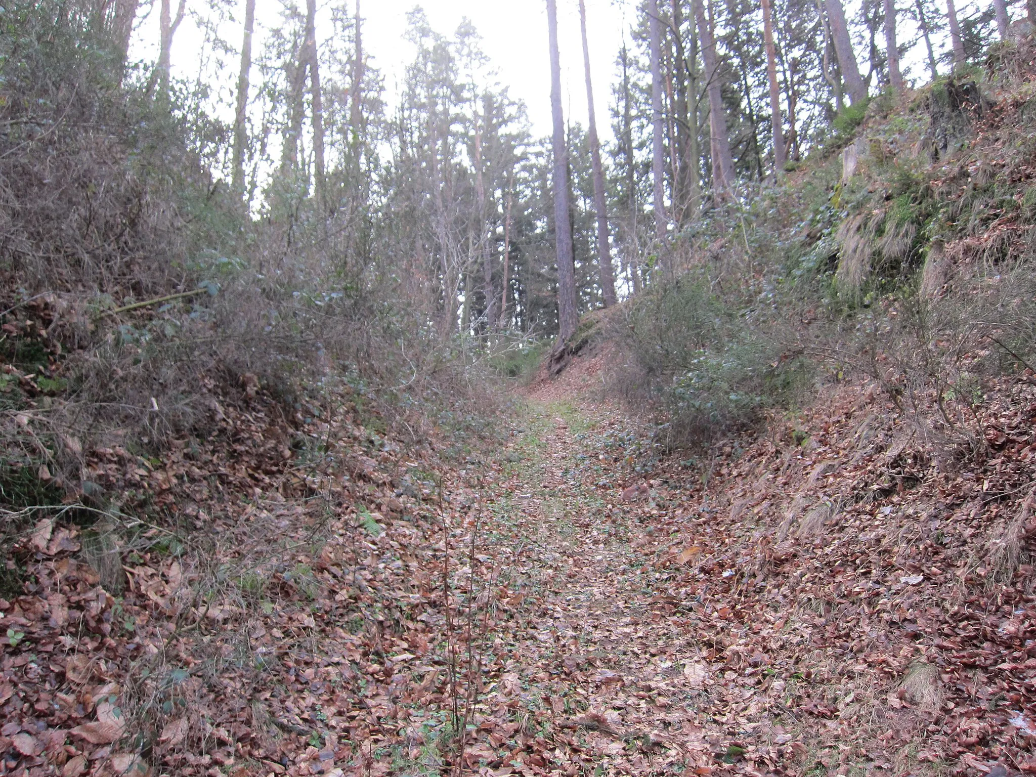 Photo showing: Heidburg, continuing the way uphill