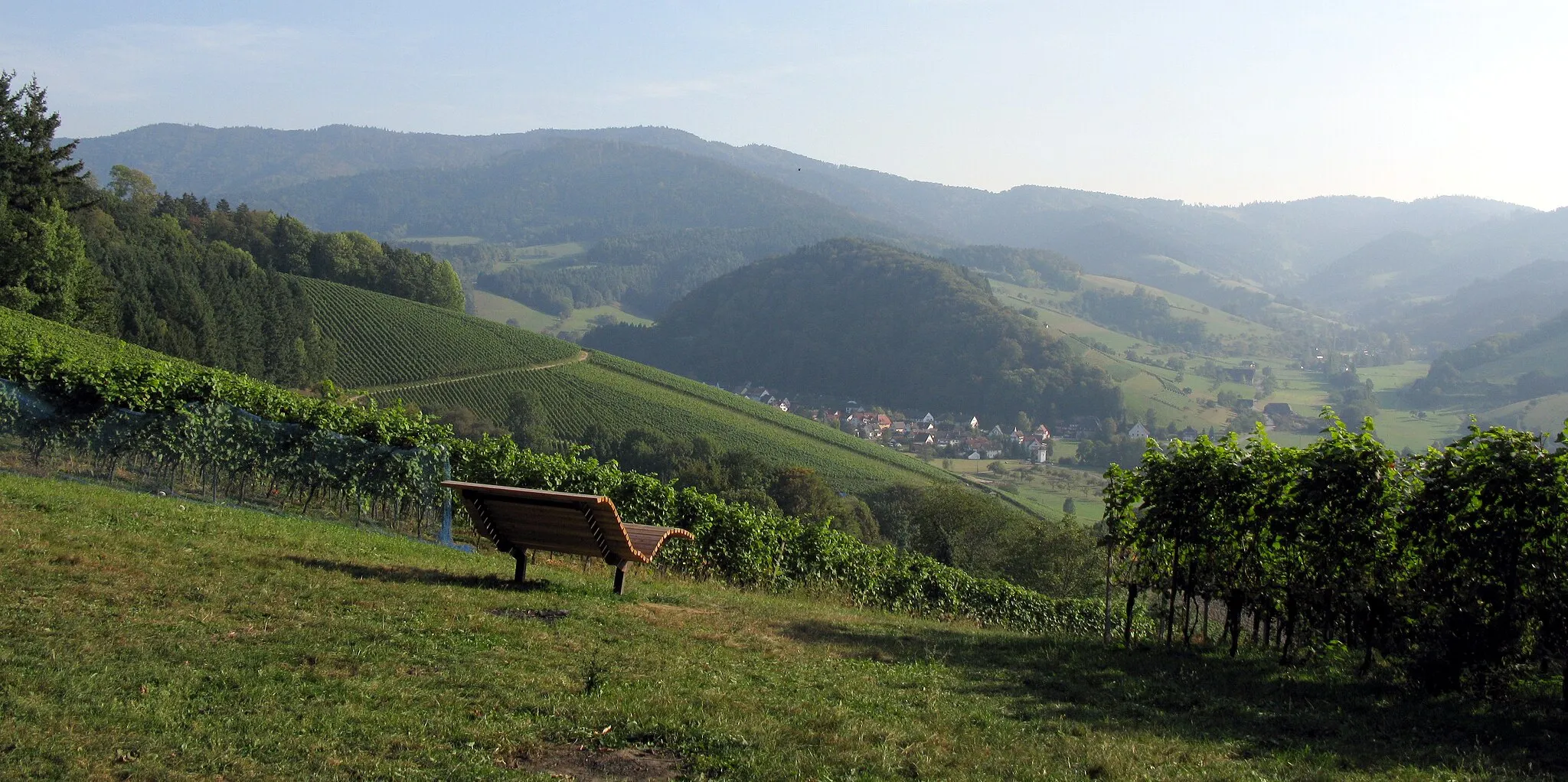 Photo showing: Blick vom Wissereck ins Glottertal