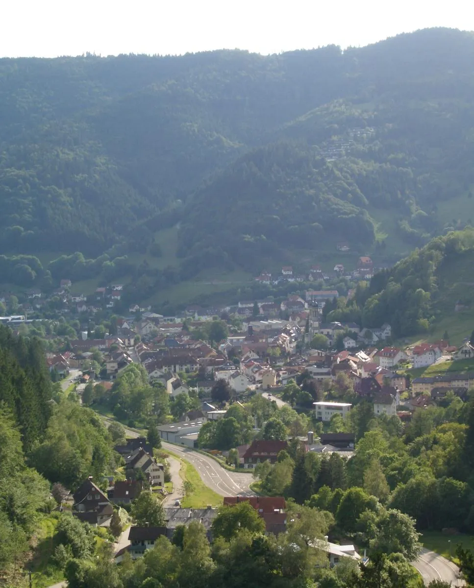 Photo showing: Blick auf Todtnau