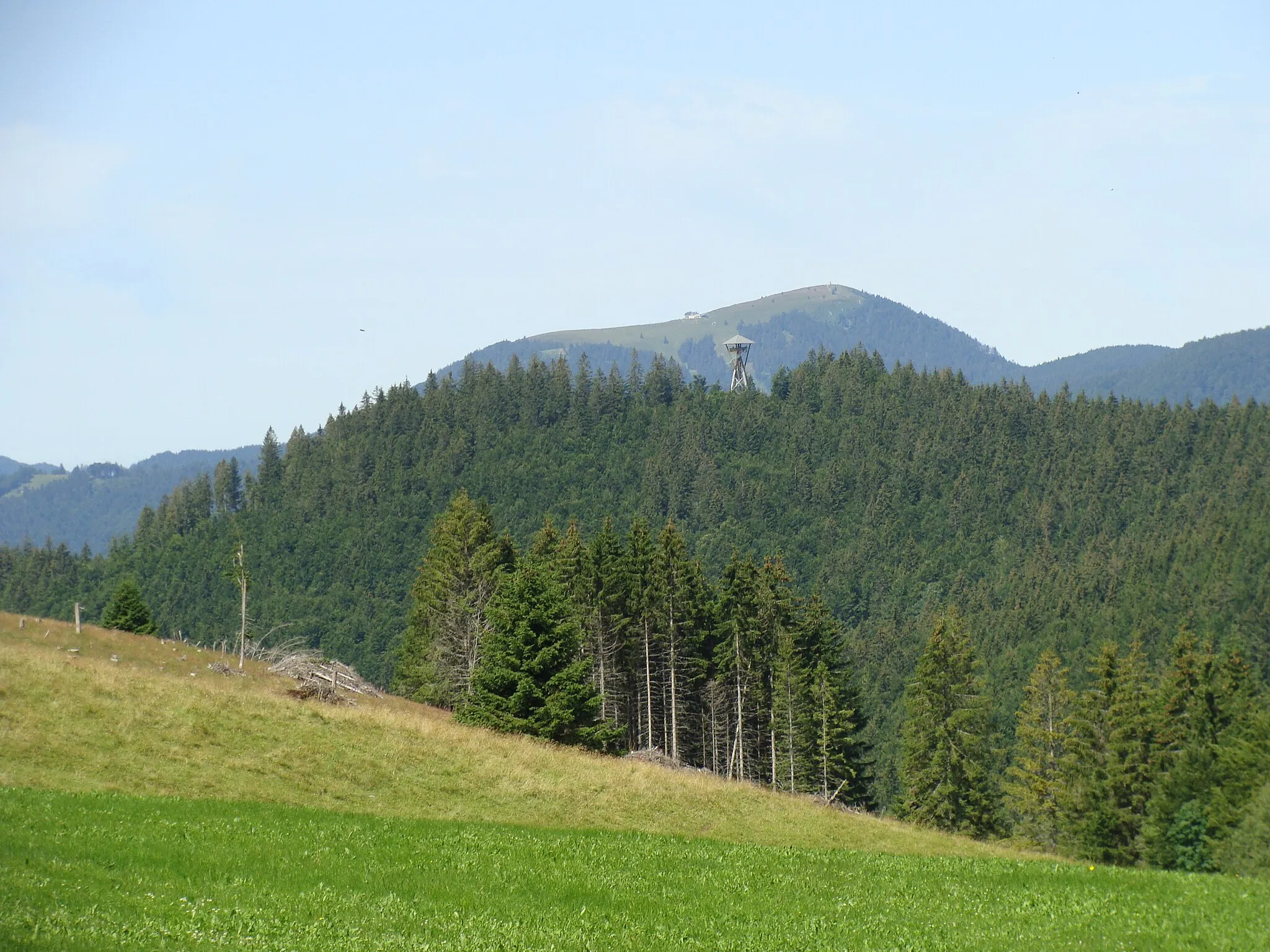Photo showing: Hasenhorn mit Turm im Schwarzwald (im Hintergrund Belchen)