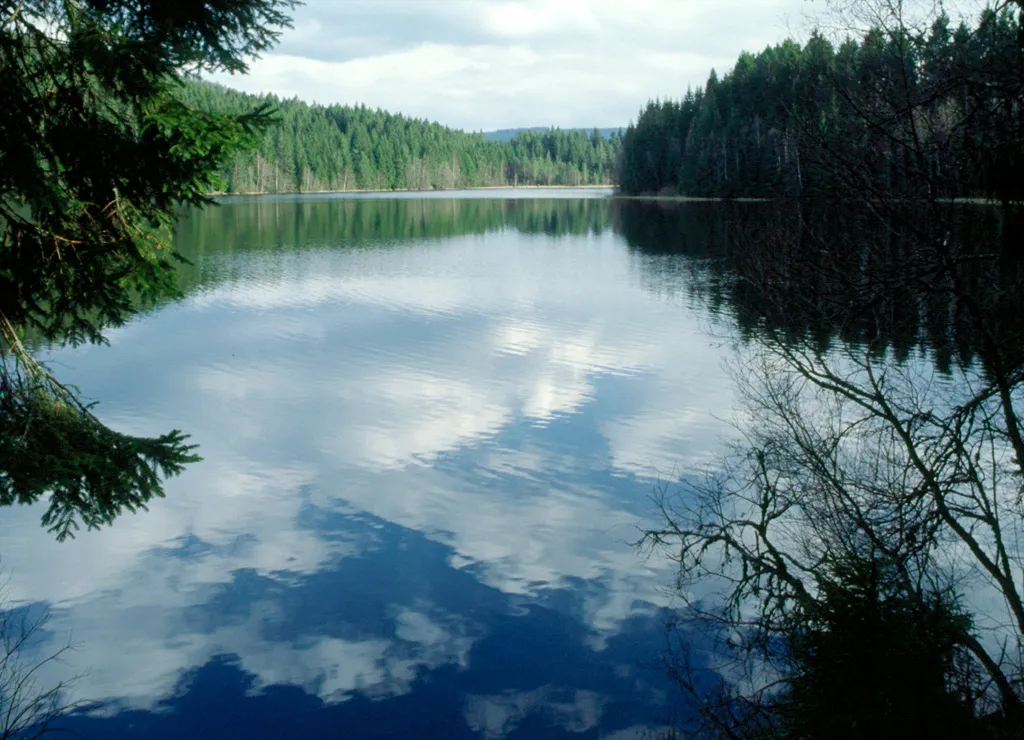Photo showing: Pond named Windgfaellweiher in the Black Forest area, Germany