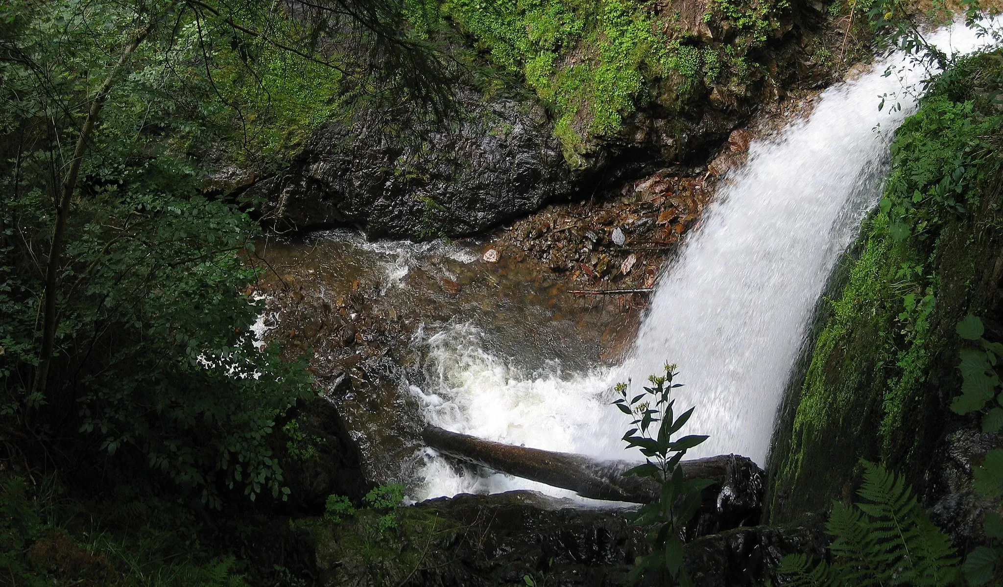 Photo showing: Waterfall in the Ravennaschlucht / Black Forest / Germany
