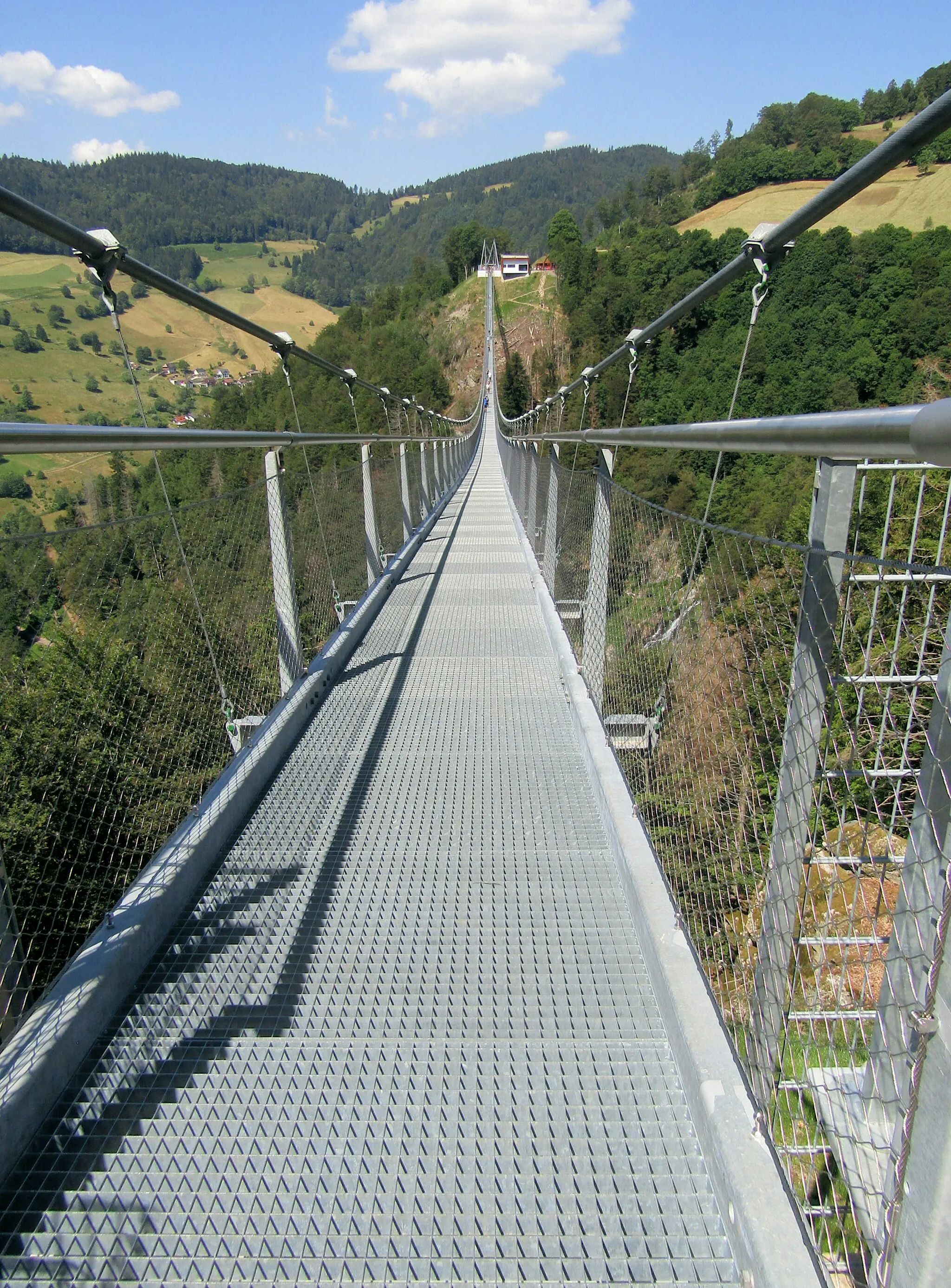 Photo showing: Fußgänger-Hängebrücke “Blackforestline” über den Todtnauer Wasserfall in Todtnauberg, Blick von Ost nach West