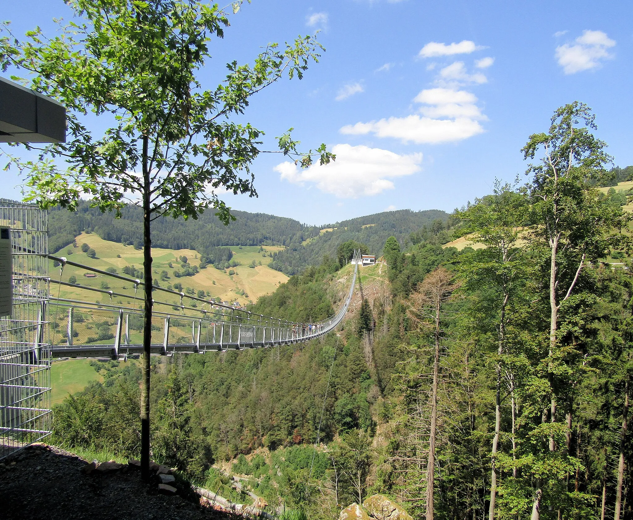 Photo showing: Fußgänger-Hängebrücke “Blackforestline” über den Todtnauer Wasserfall in Todtnauberg, Blick von Ost nach West
