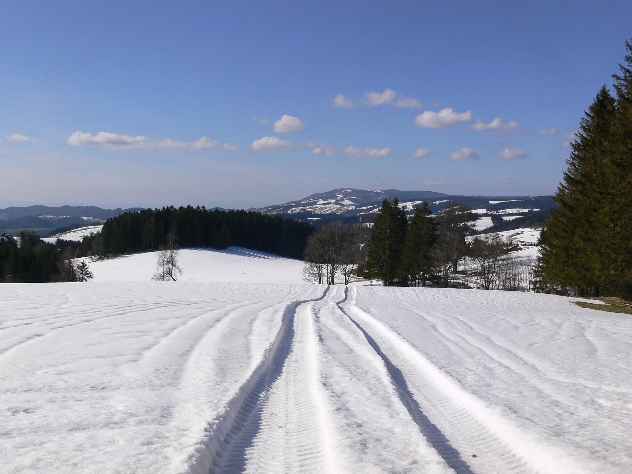 Photo showing: Verschneite Schwarzwaldlandschaft mit Kandel am Horizont, gesehen von der B 500 im Ortsteil Thurner der Gemeinde St. Märgen