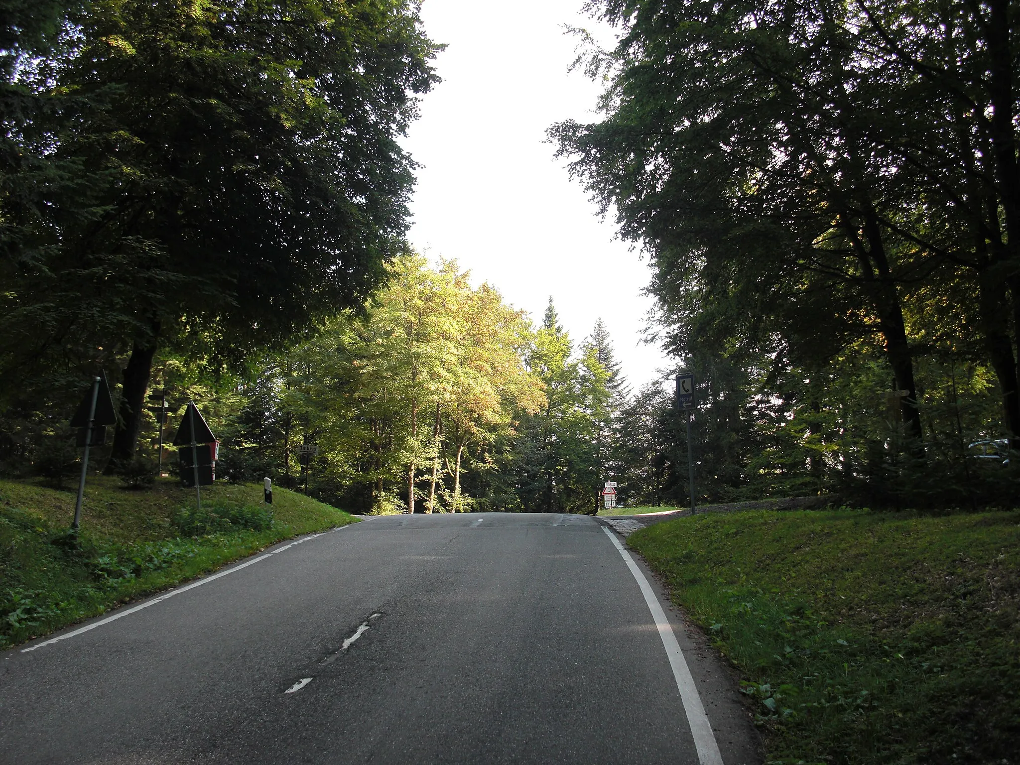 Photo showing: Pass summit of the Löcherbergwasen