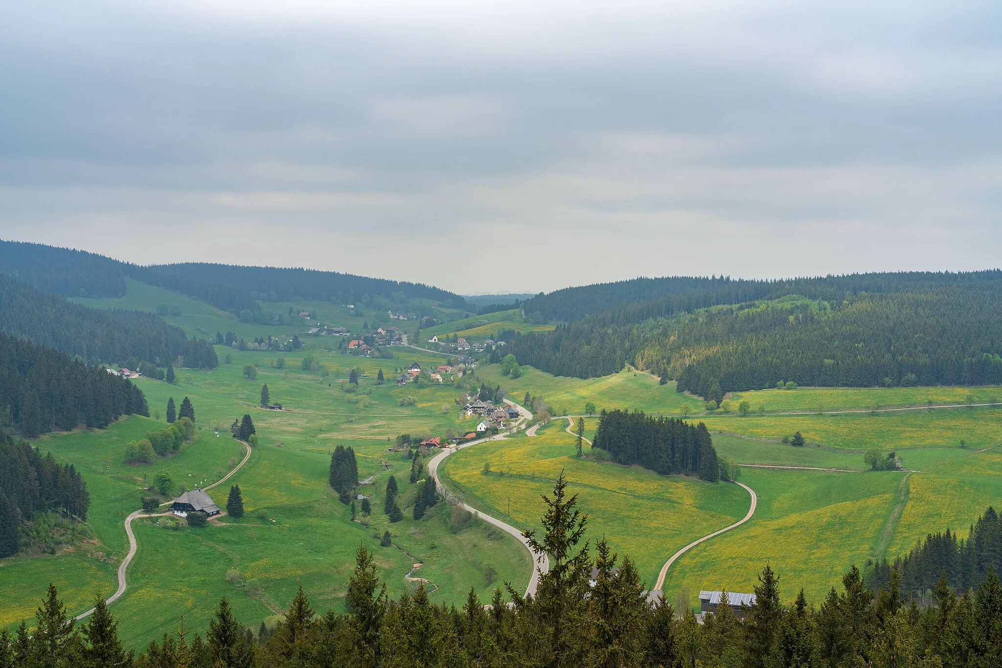 Photo showing: Blick vom Riesenbühlturm