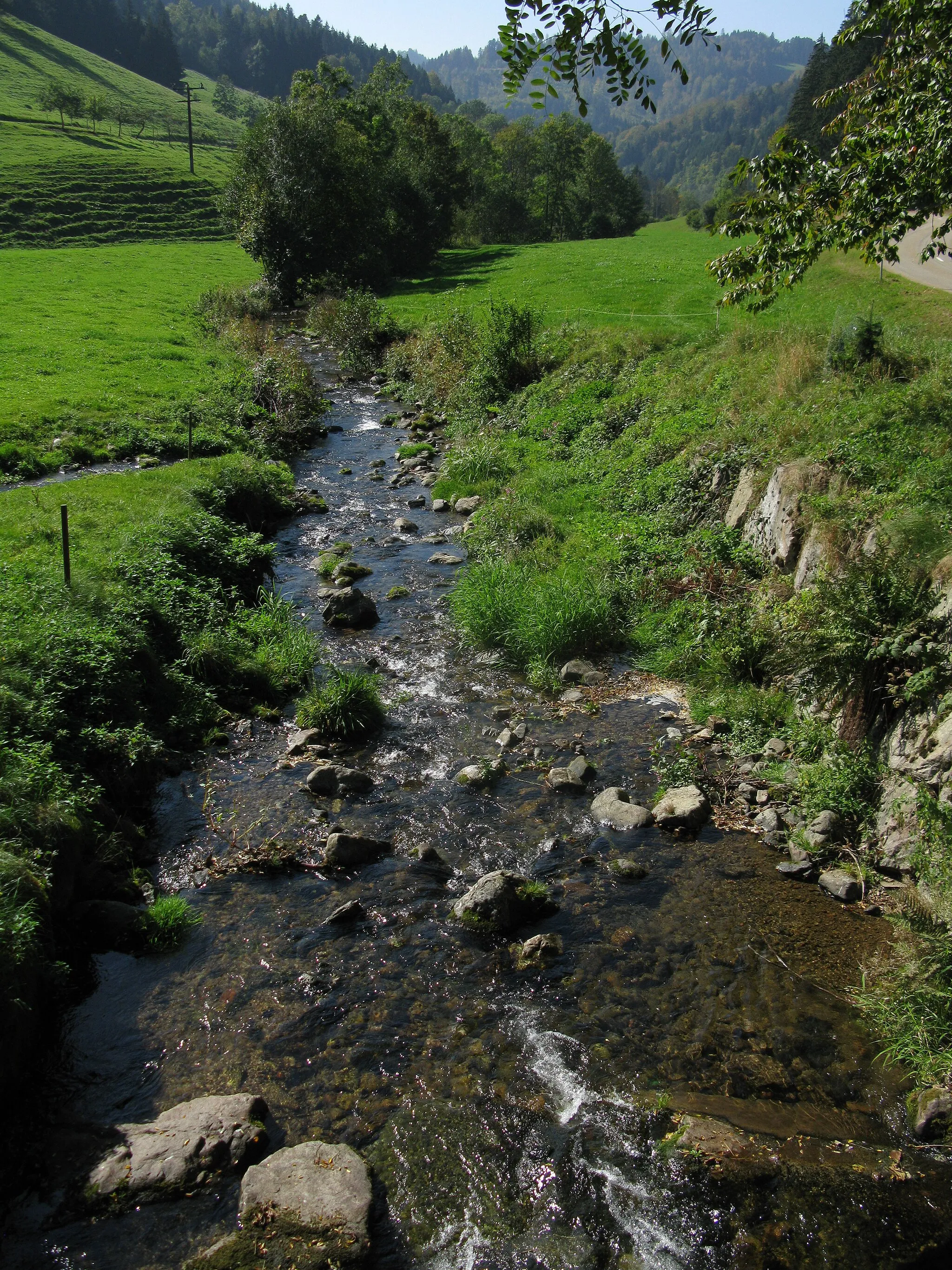 Photo showing: Wagensteigbach with confluence of the Schweigbrunnenbach