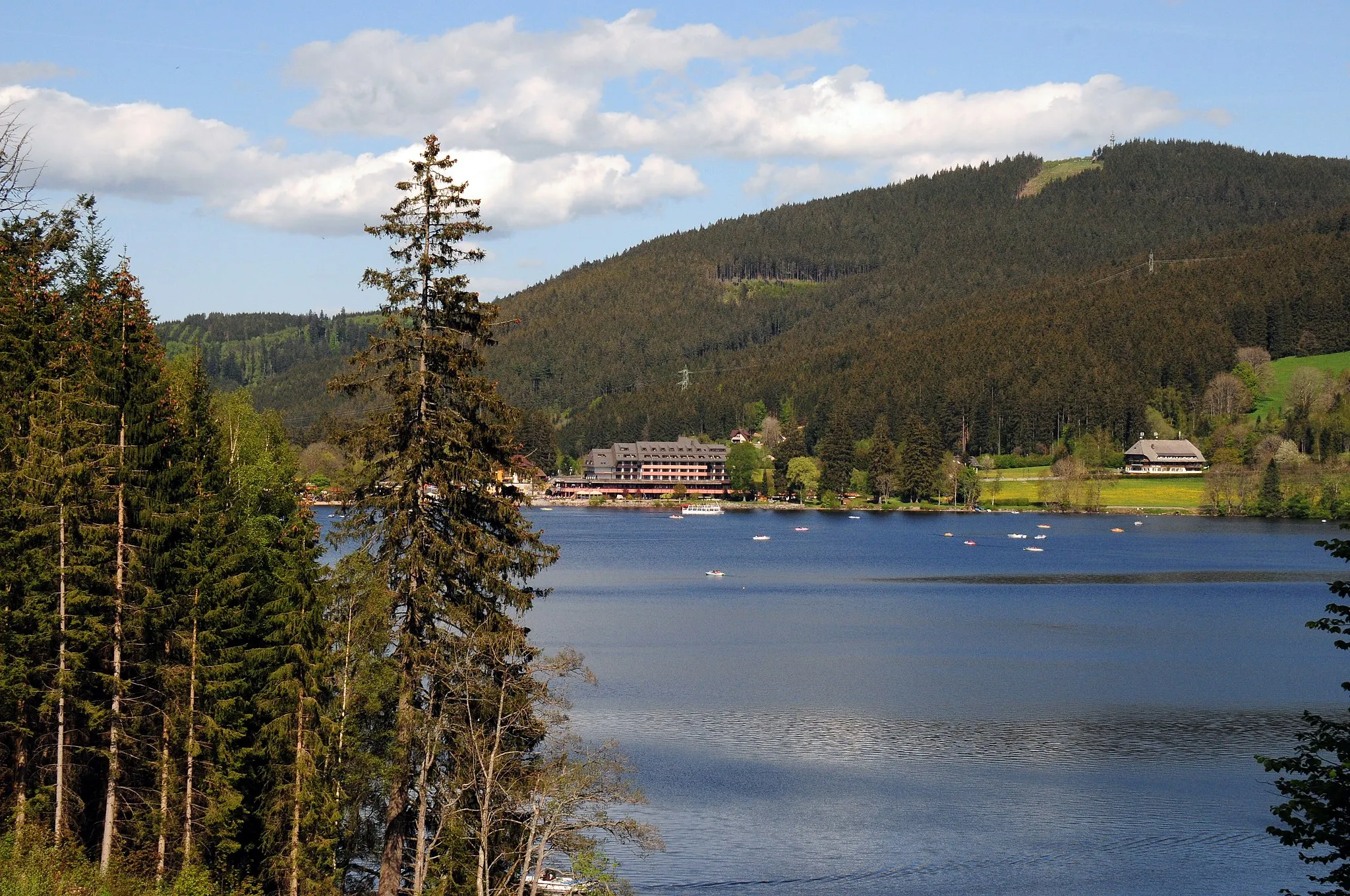 Photo showing: The famous lake Titisee in the Schwarzwald