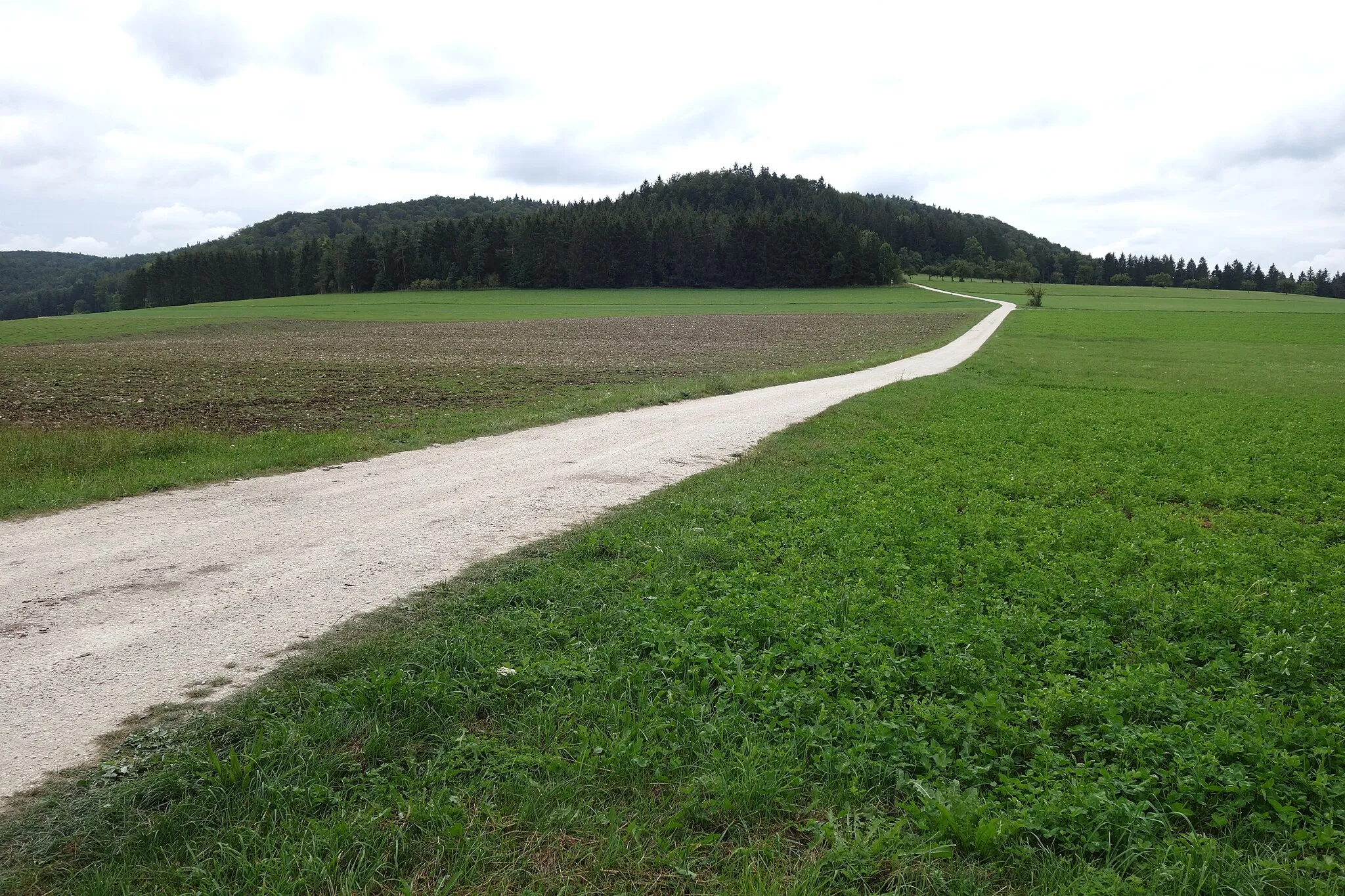 Photo showing: Blick auf das Naturschutzgebiet Kugelwäldle