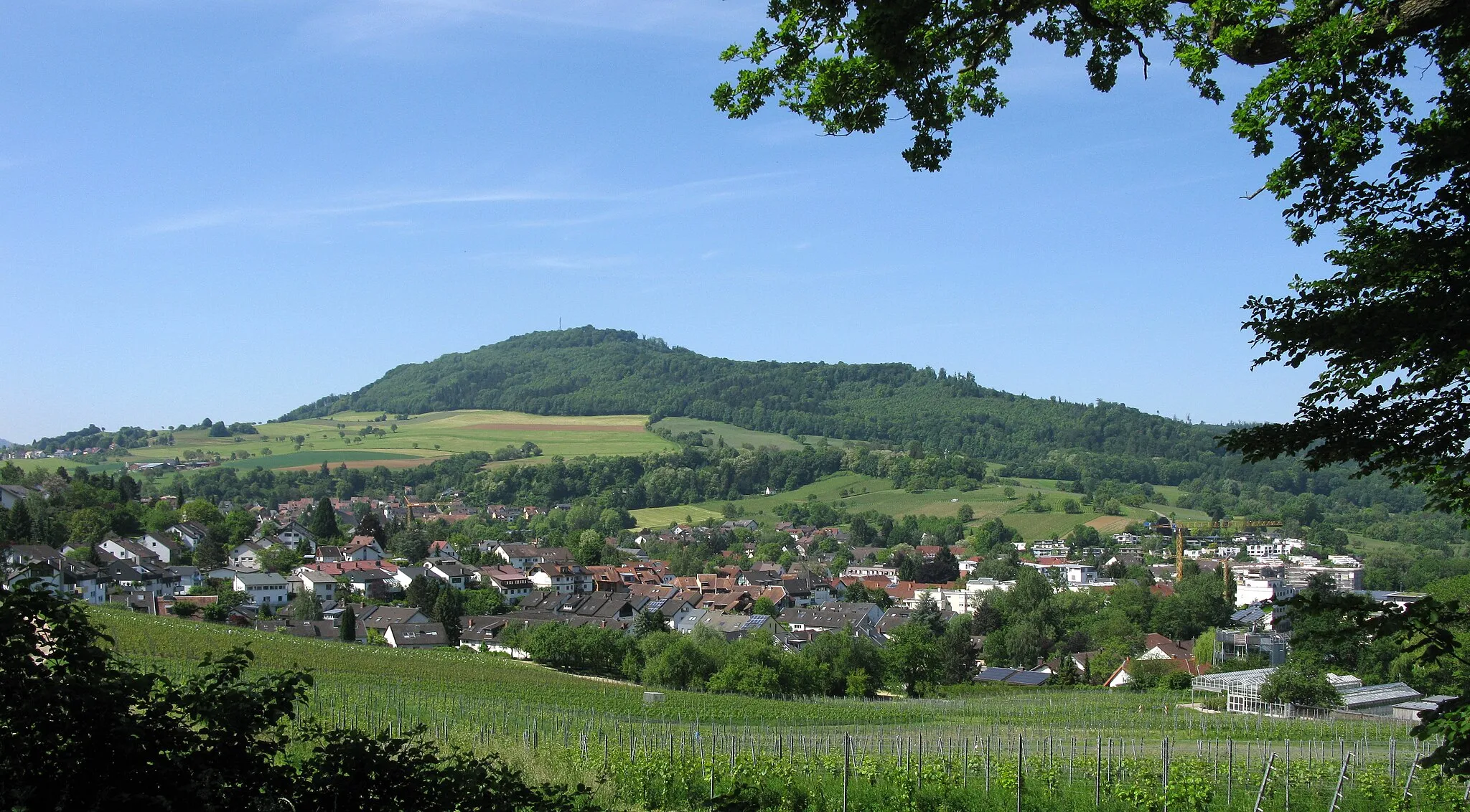 Photo showing: Merzhausen mit dem Schönberg, im Vordergrund die Reben des Staatlichen Weinbauinstitutes Freiburg