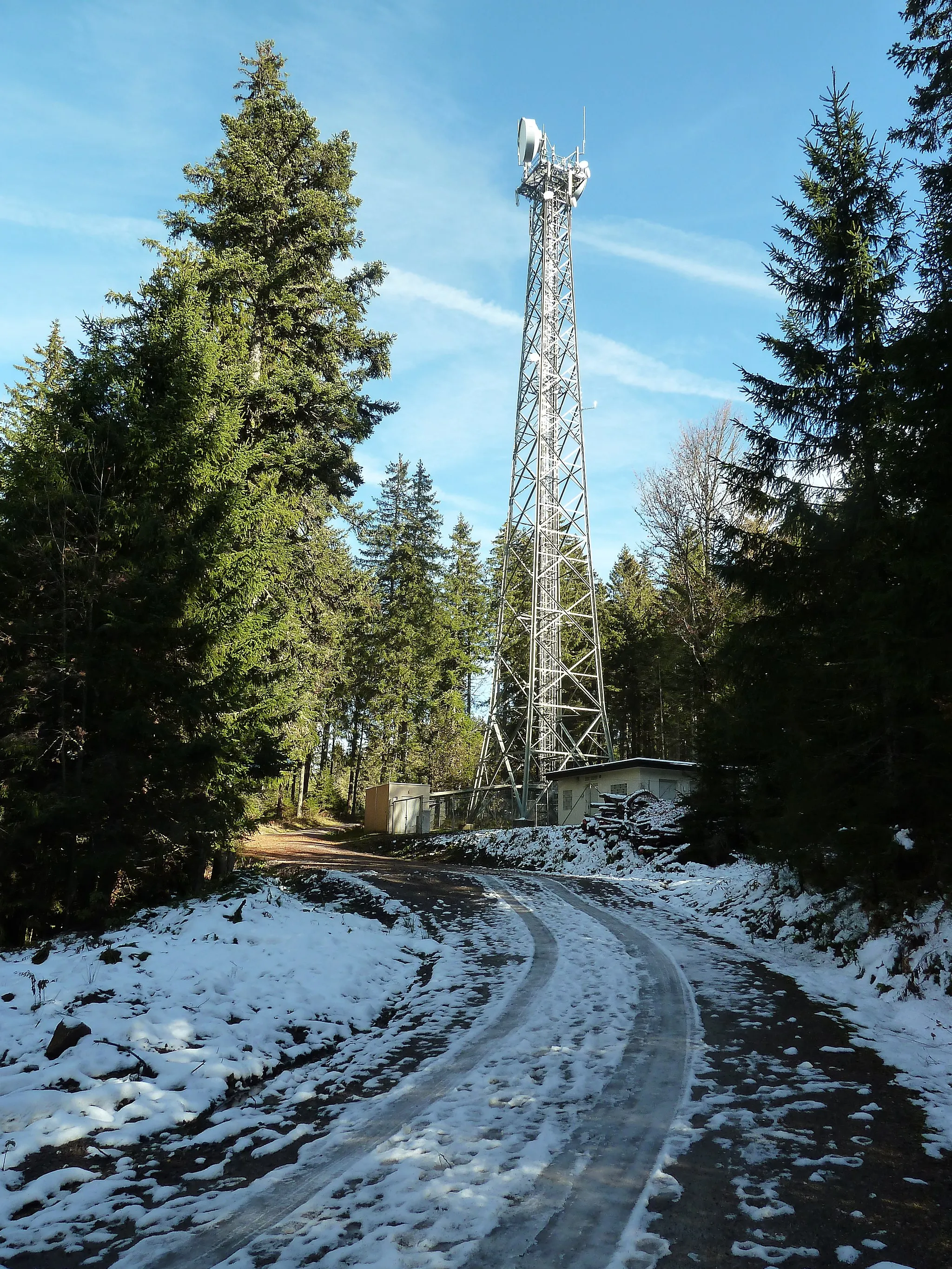 Photo showing: Antenna mast near Windeckkopf, Hinterzarten