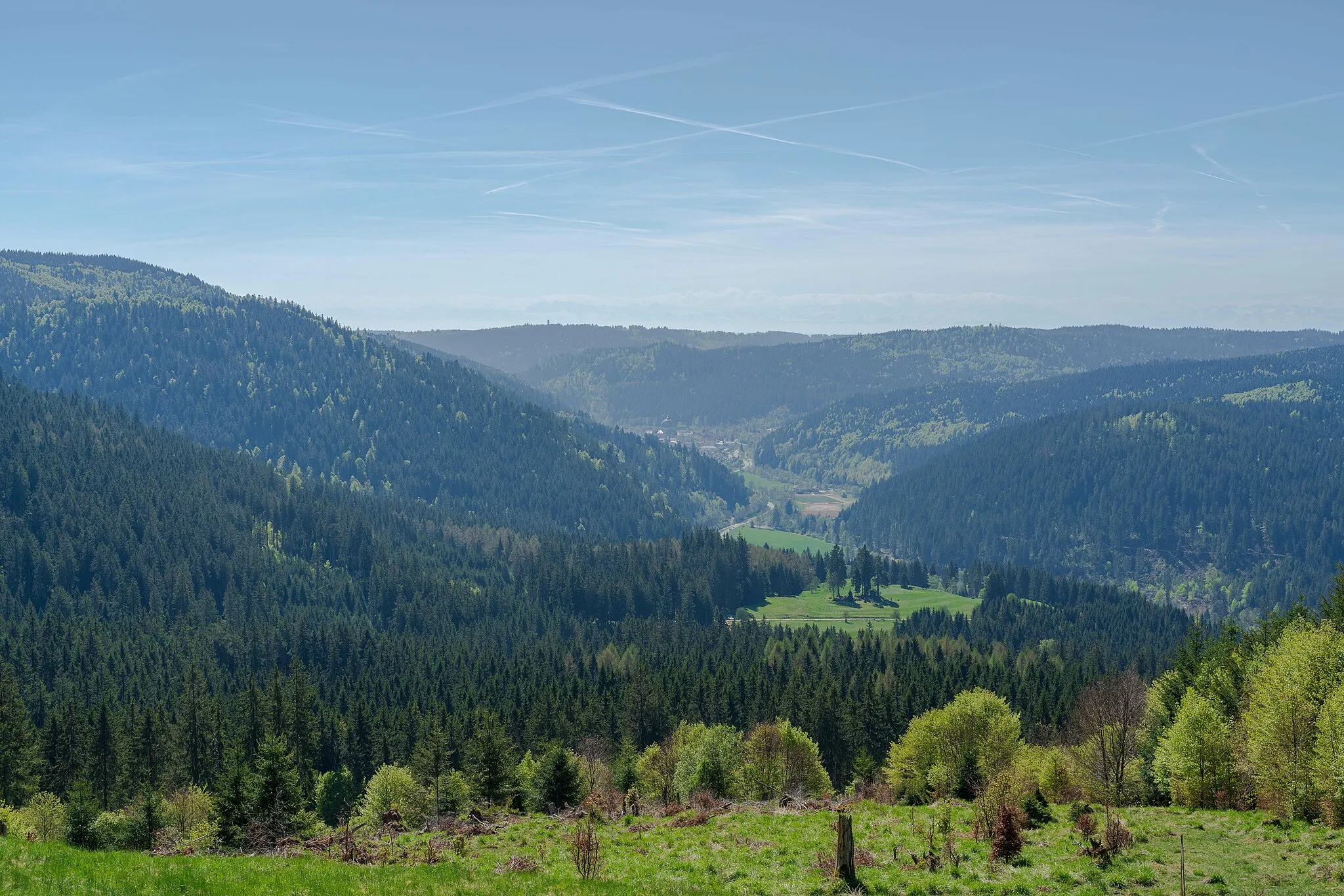 Photo showing: Blick von der Tierlachenhütte auf Sankt Blasien
