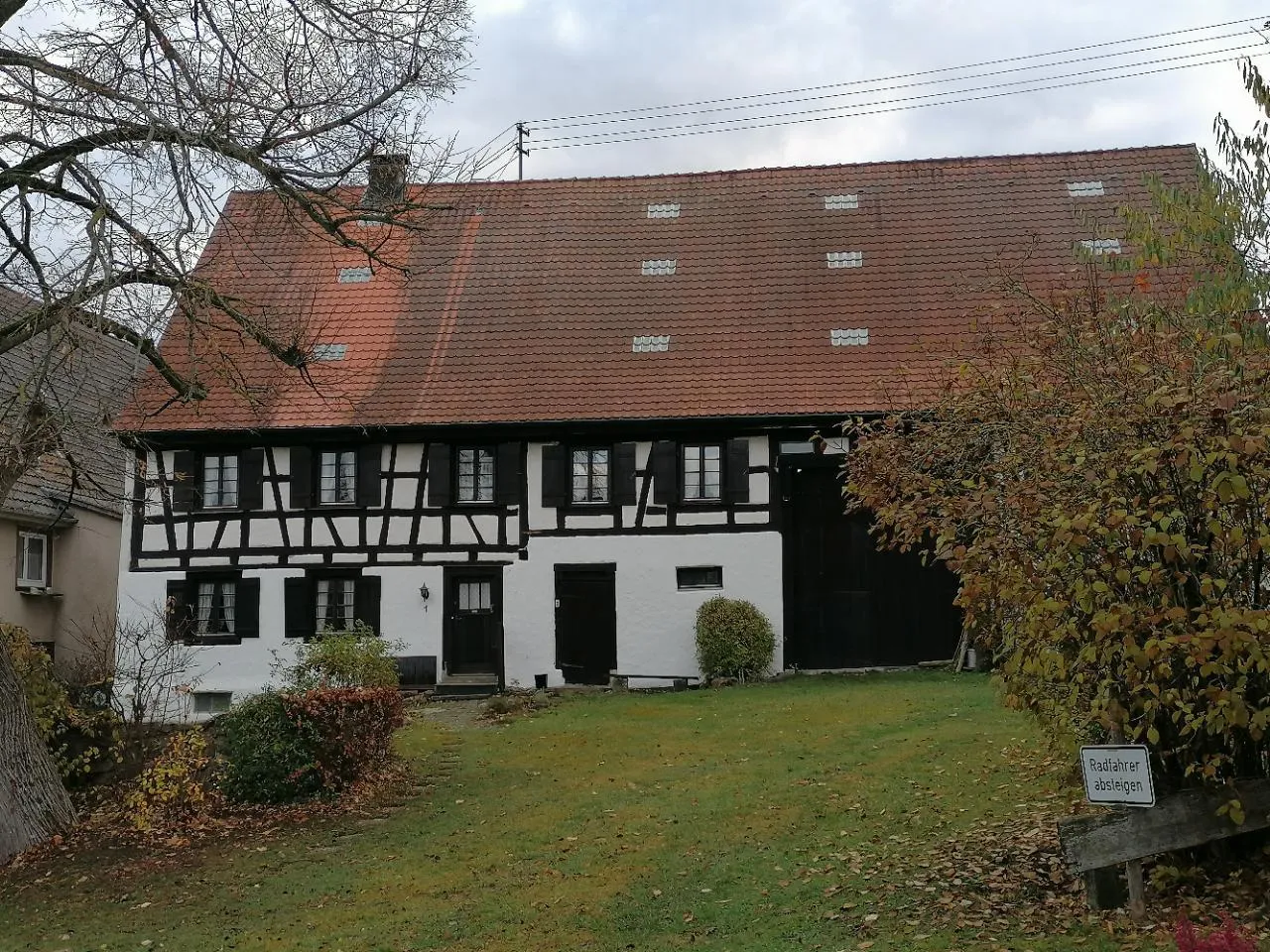 Photo showing: Kleine Schönheiten am Wegesrand