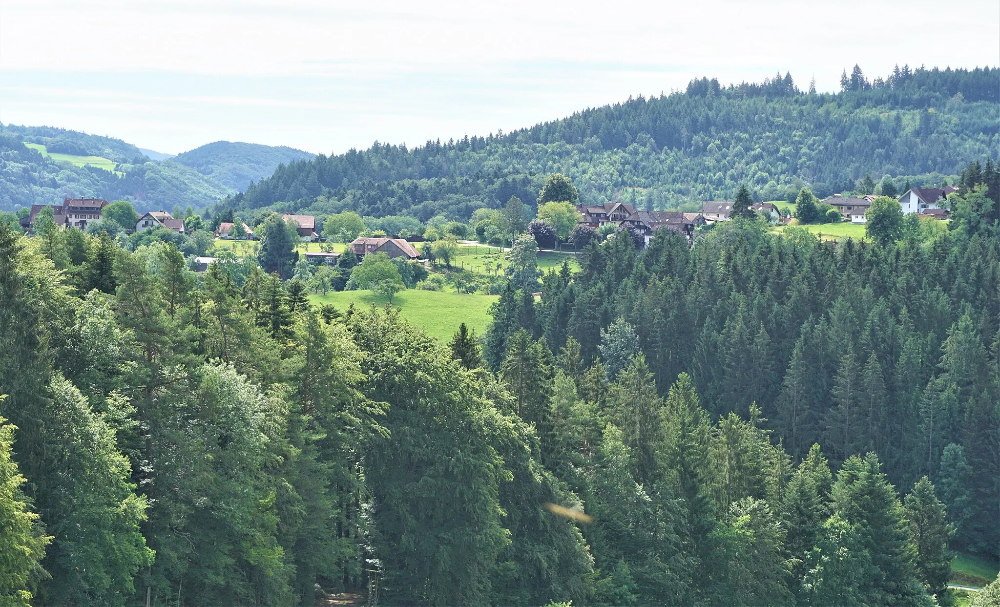 Photo showing: Blick vom “Kähle Bückle” auf das Dorf Sallneck