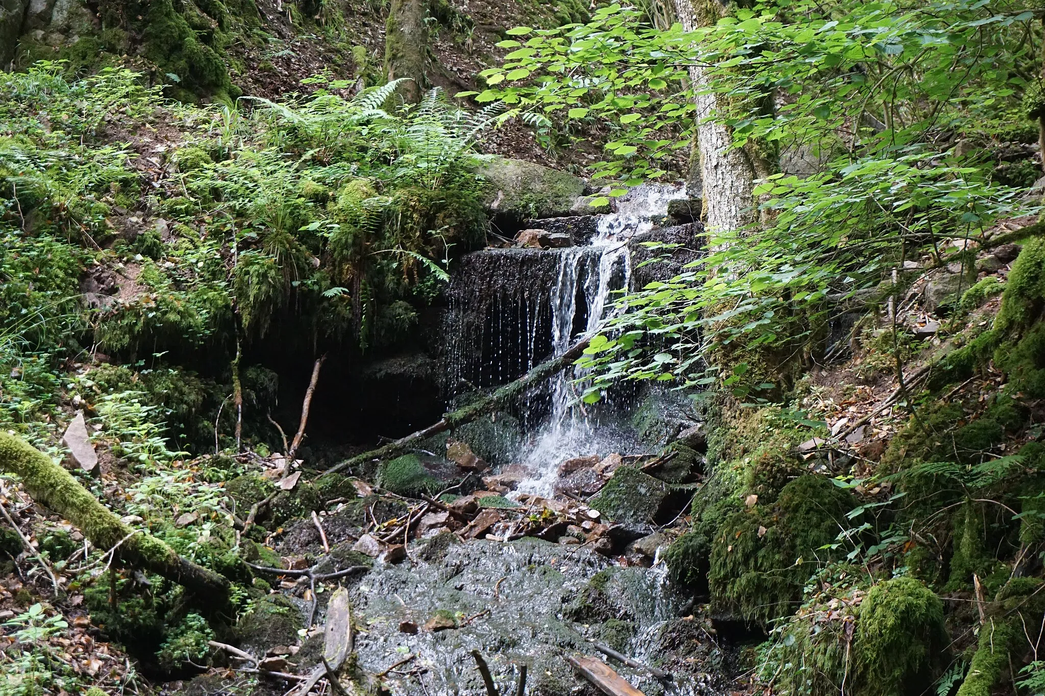 Photo showing: Heißbachschlucht bei Sallneck