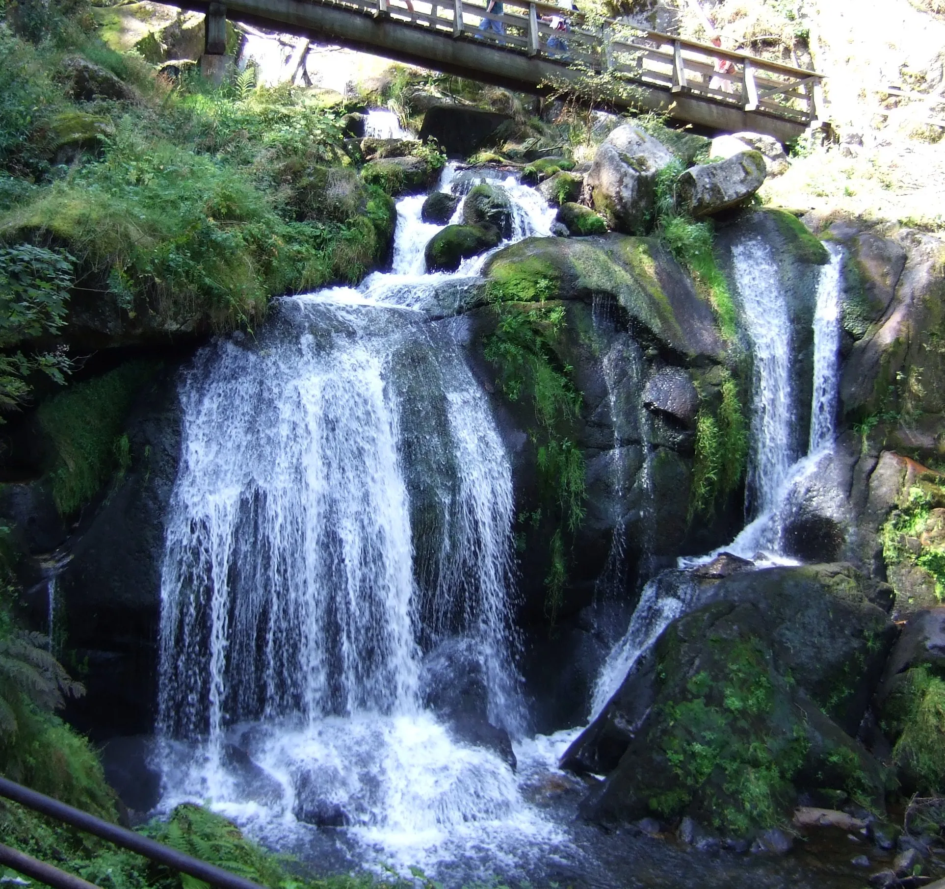Photo showing: waterfall of Triberg, black forest, Germany