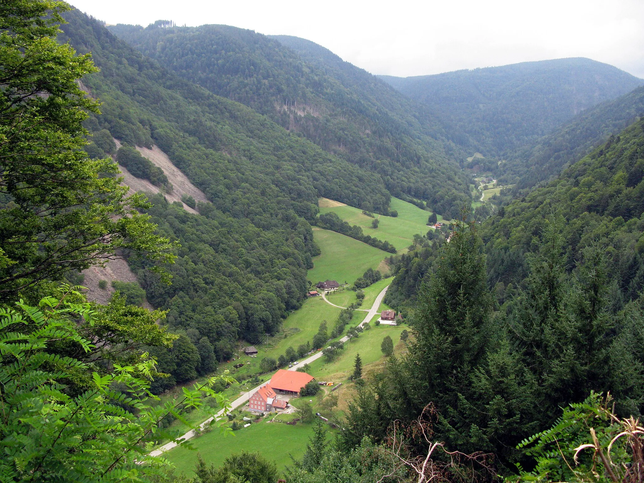 Photo showing: Zastler Tal