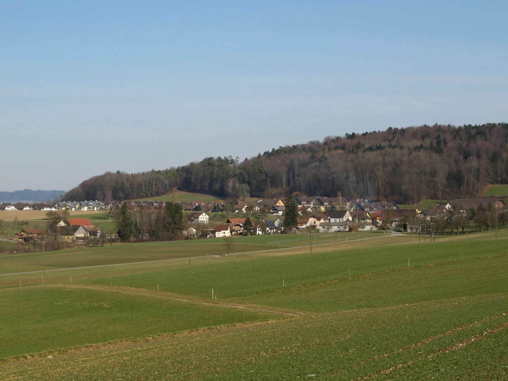 Photo showing: Ansicht von Büttikon