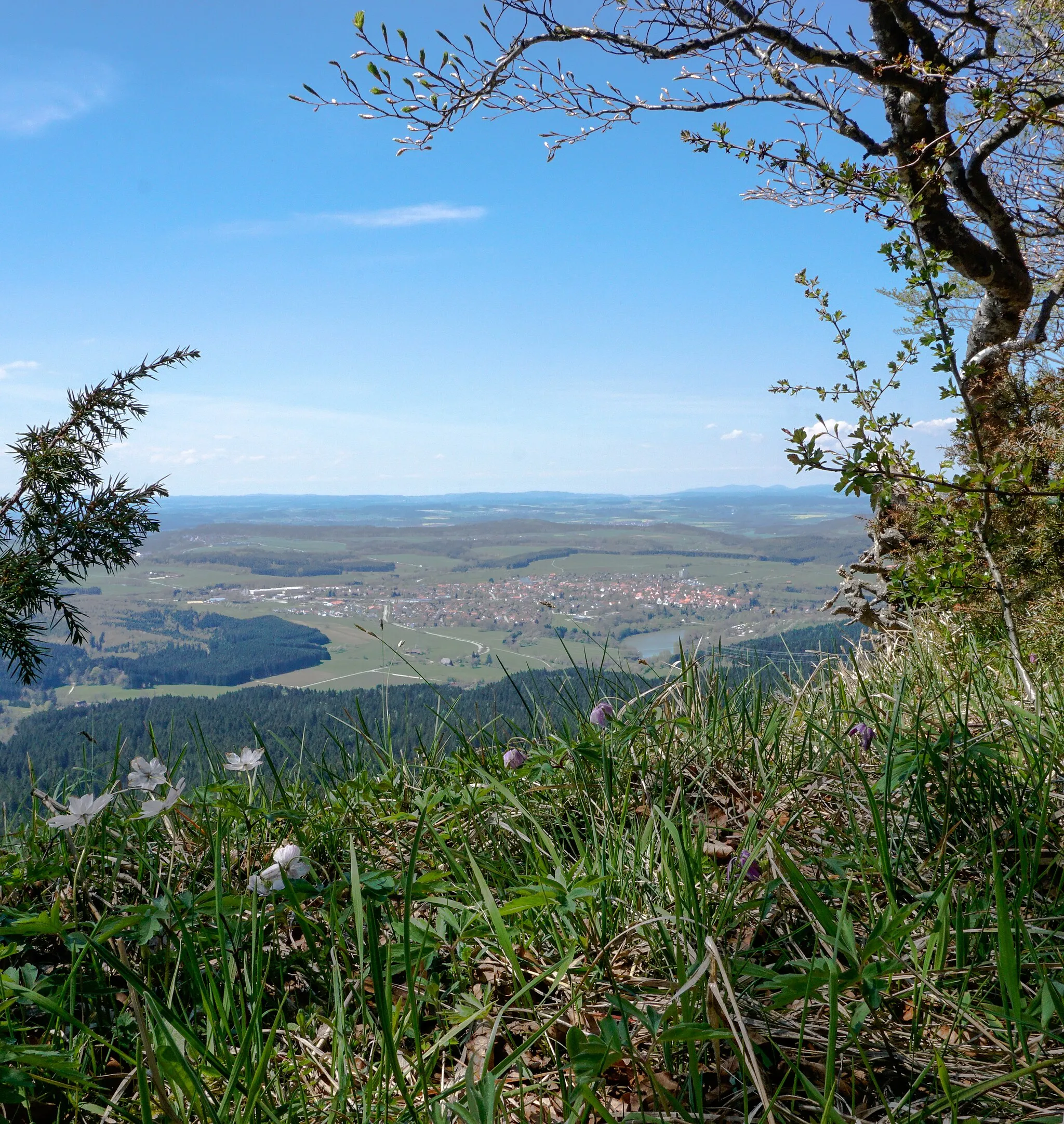 Photo showing: Naturschutzgebiet Plettenkeller, Schutznummer 4.120, im FFH-Gebiet "Östlicher Großer Heuberg" Schutznummer 7819-341 auf dem Plettenberg
