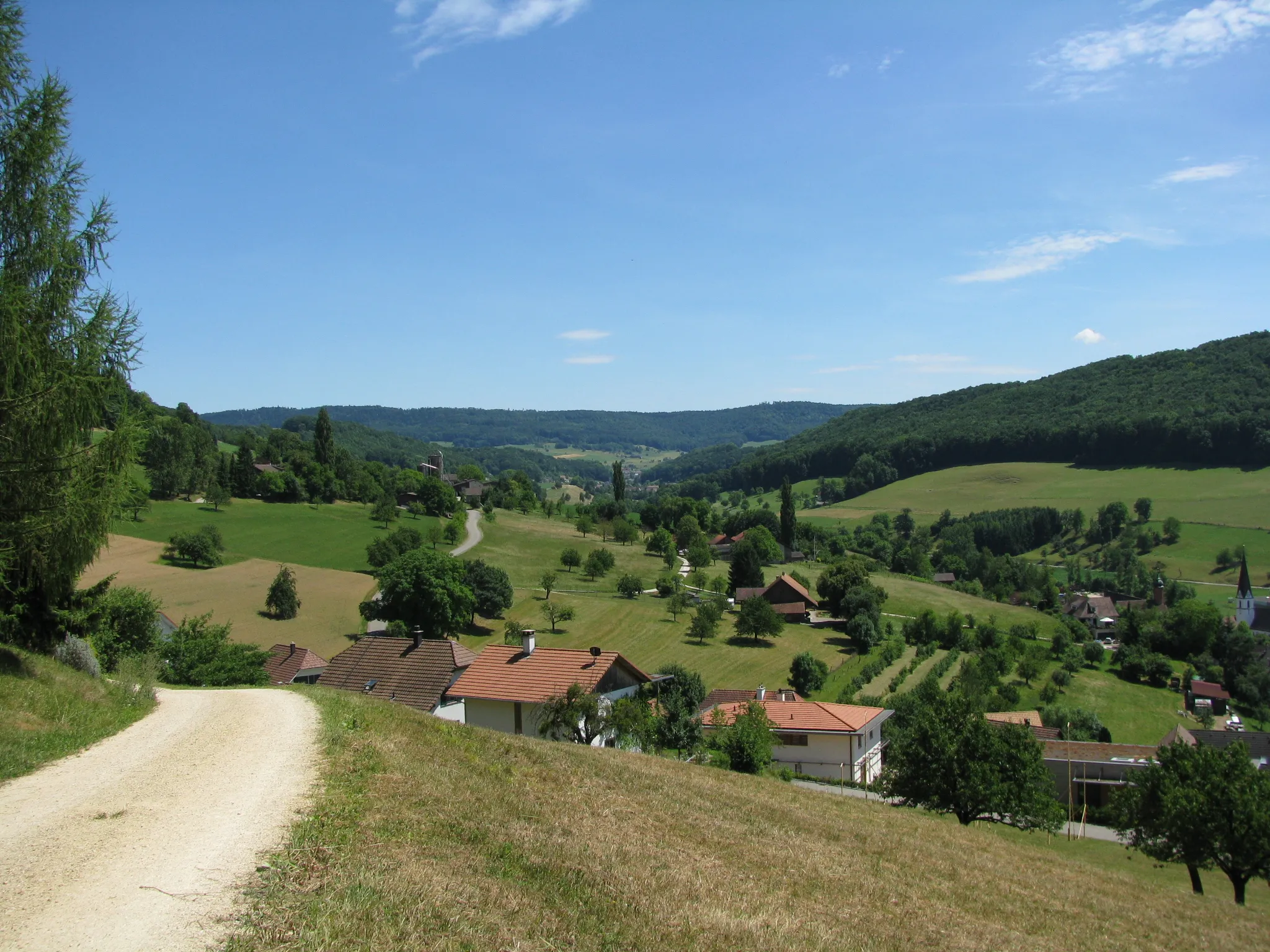 Photo showing: The valley "Möhlintal" at Zuzgen