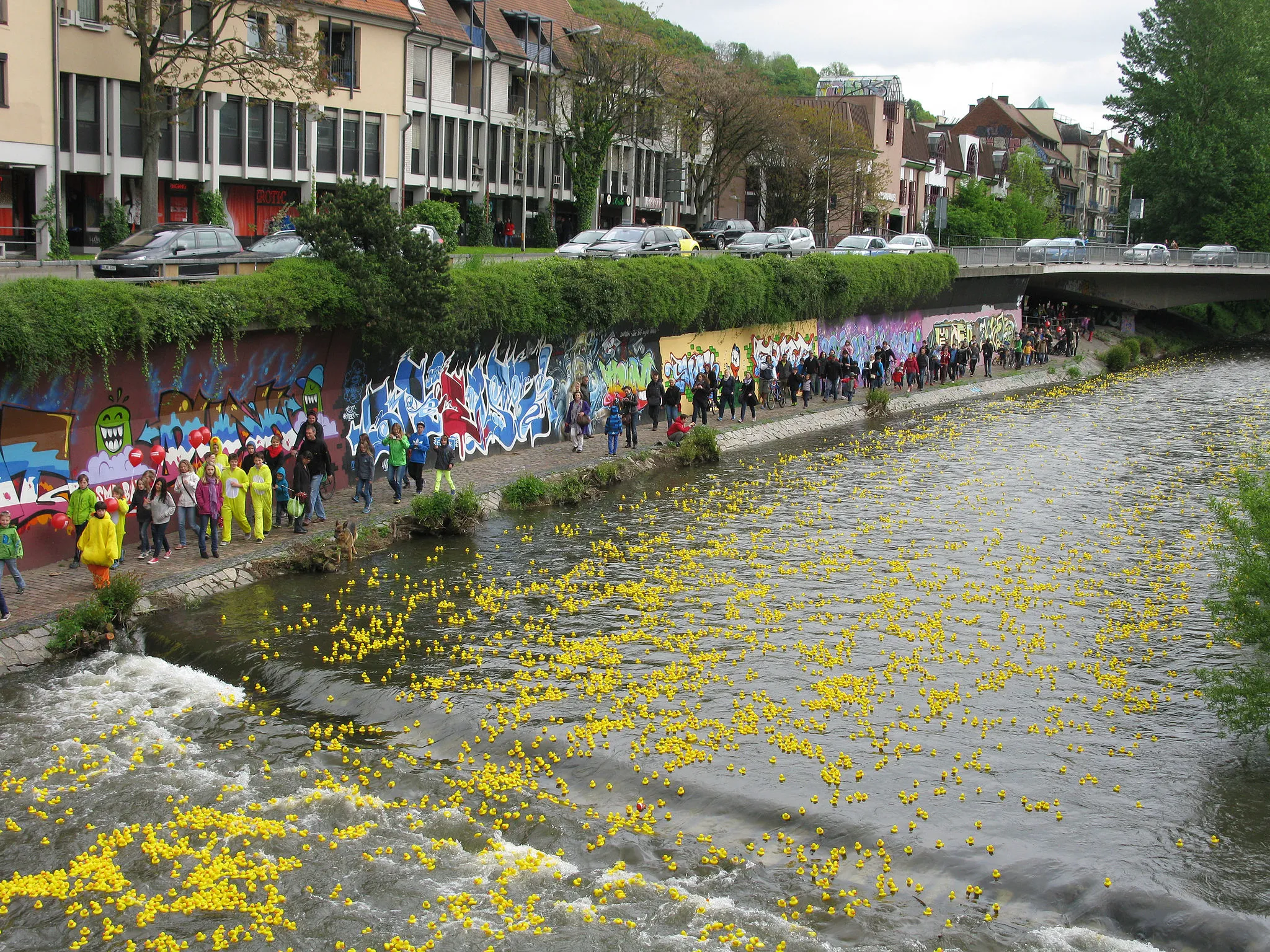 Photo showing: Duck Racing on the Dreisam river in Freiburg, Germany