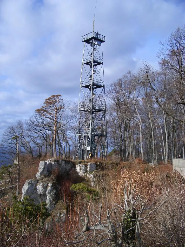 Photo showing: Gempenturm