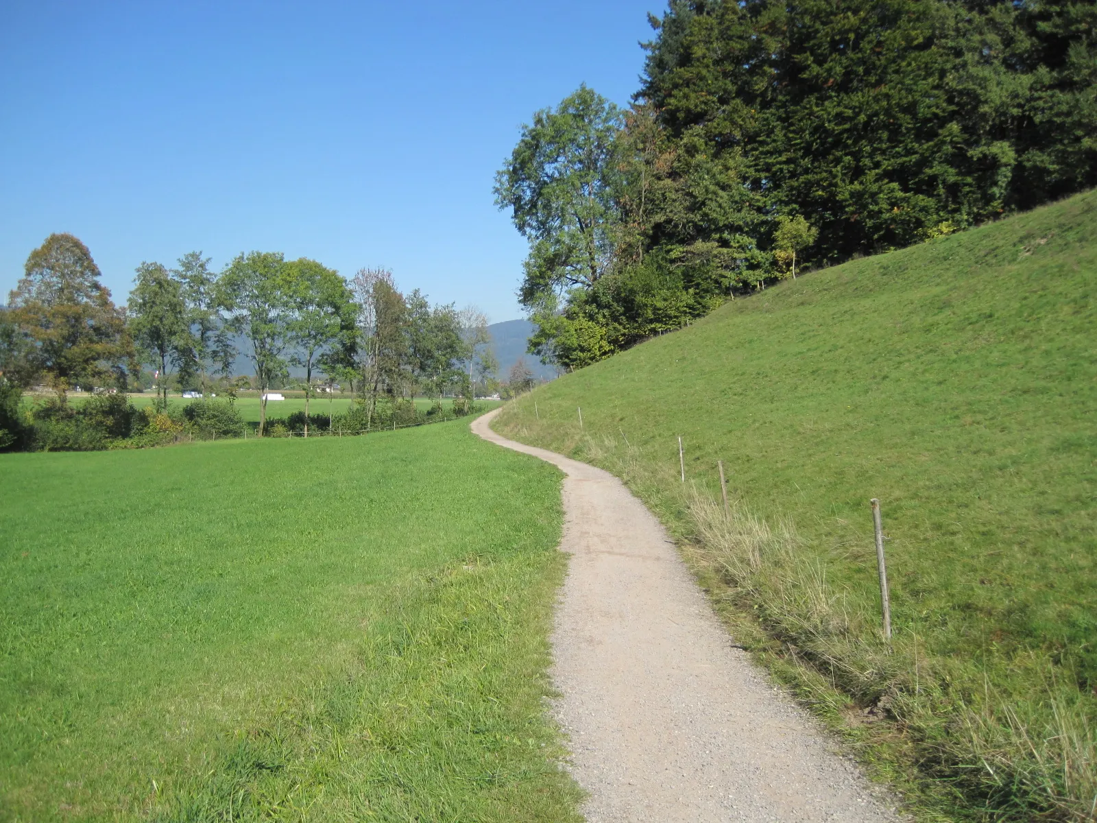 Photo showing: Wanderweg bei Kirchzarten