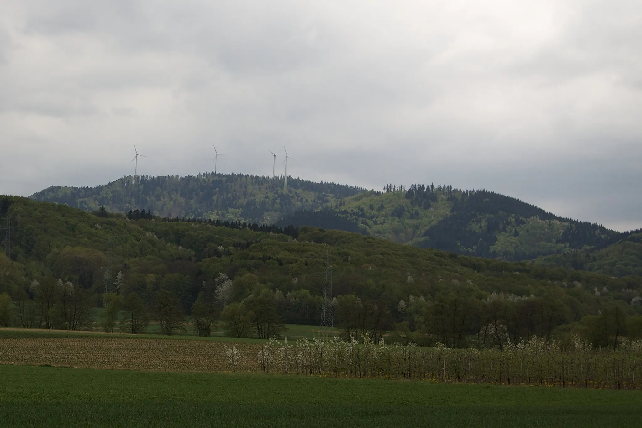 Photo showing: Blick auf den Roßkopf nahe Freiburg