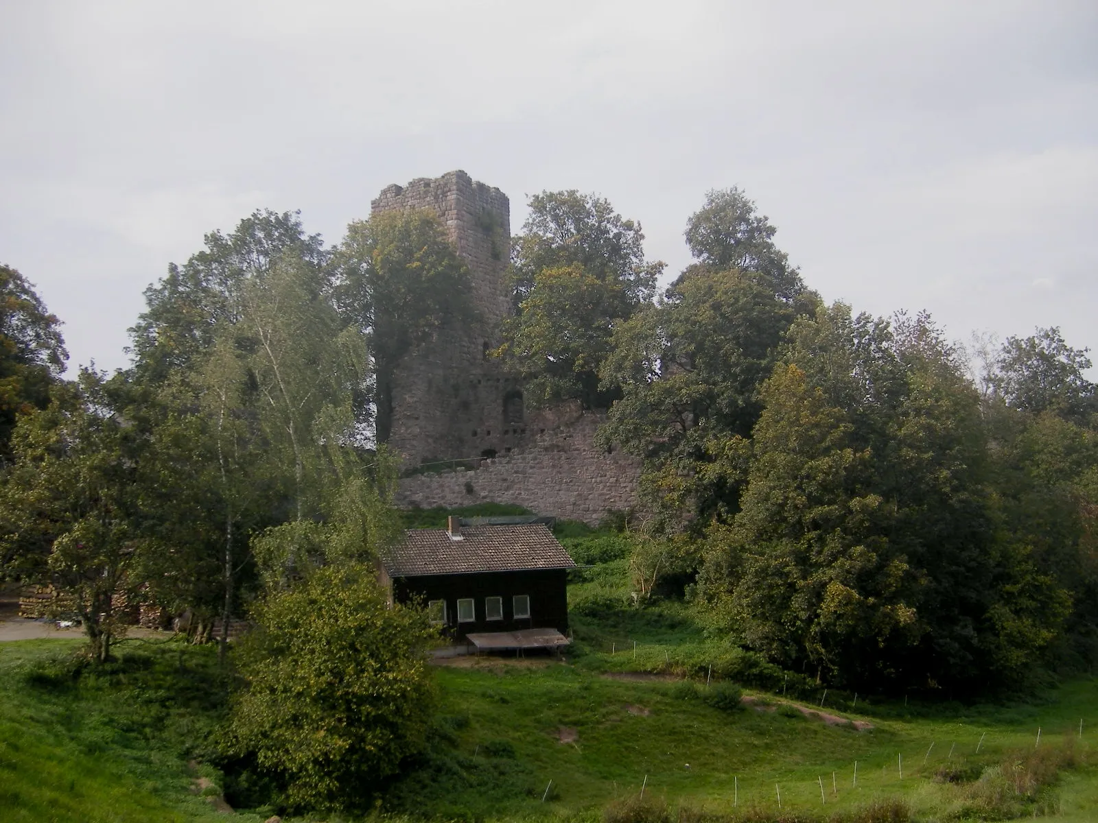 Photo showing: Burg Waldau, Martinsweiler (Königsfeld municipality)