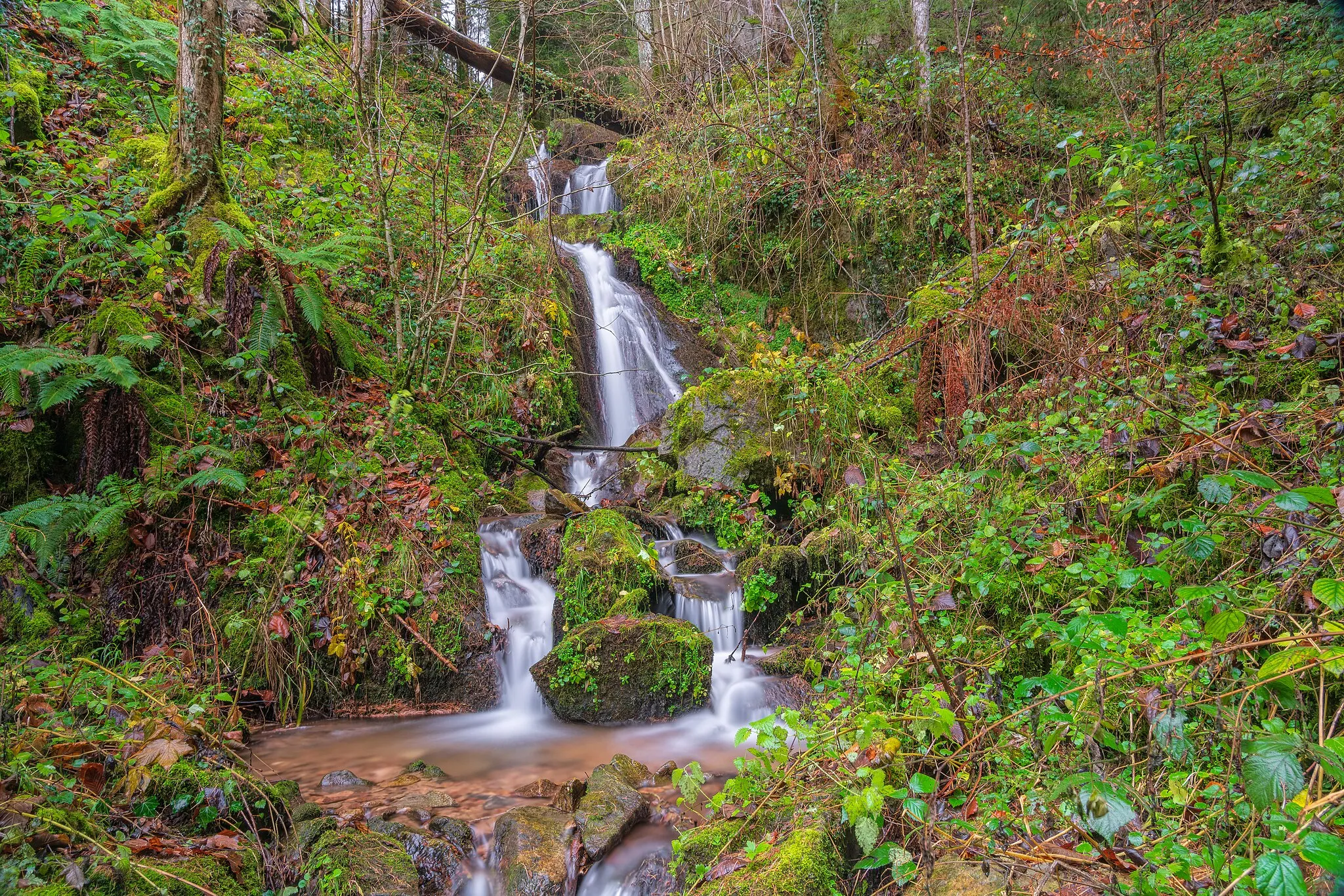 Photo showing: Fischbach-Wasserfall