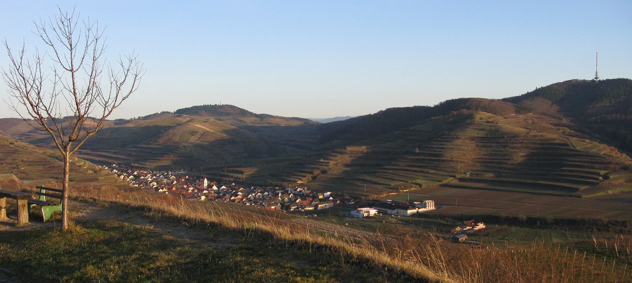 Photo showing: Blick von der Mondhalde auf Oberbergen (Vogtsburg im Kaiserstuhl)