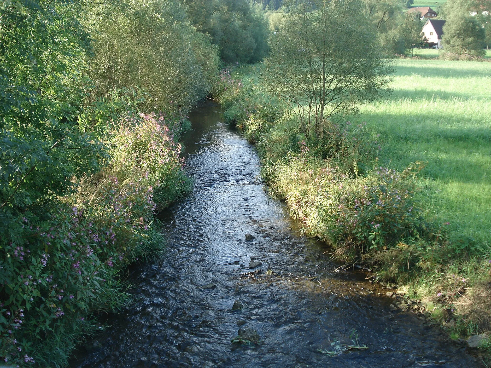 Photo showing: Die Württembergische Eschach kurz vor dem Zusammenfluss mit der Badischen Eschach