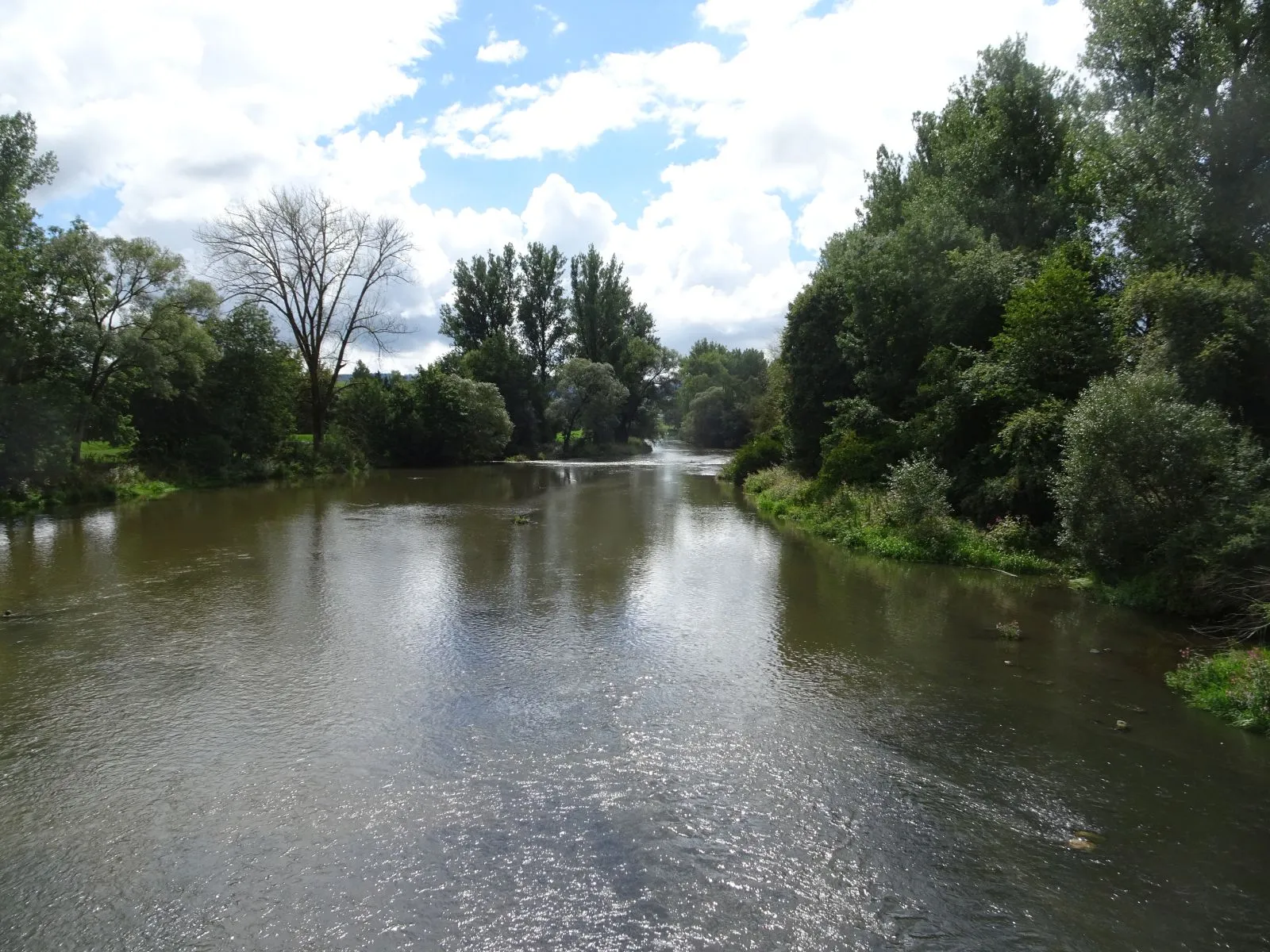 Photo showing: Donau in Pfohren
