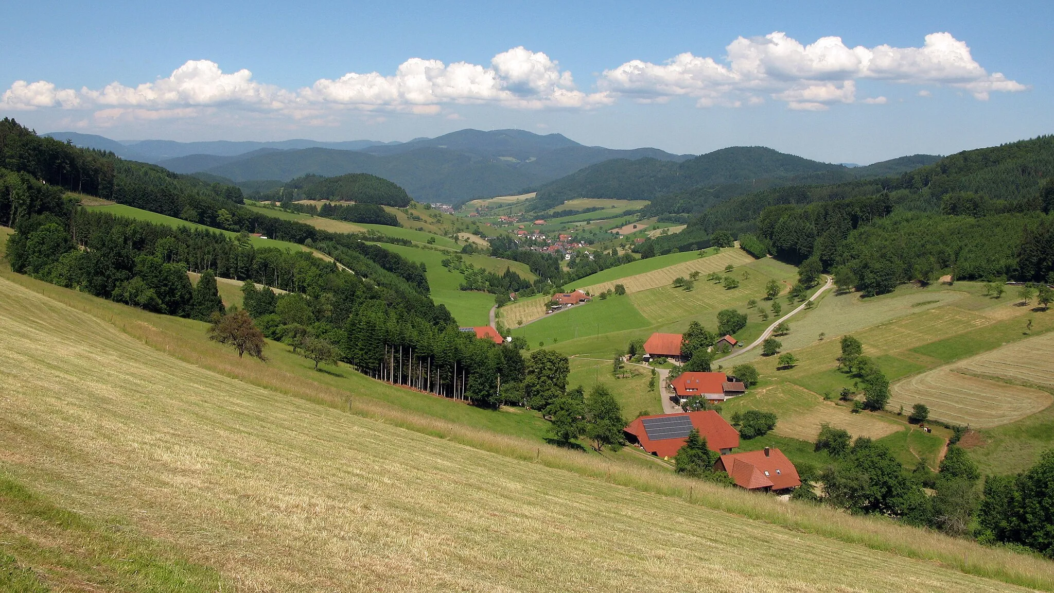 Photo showing: Blick nach Welschensteinach von einem Höhenrücken zwischen dem Schuttertal und dem Kinzigtal am Kandelhöhenweg und dem Schwarzwald-Querweg Rottweil–Lahr im Schwarzwald.