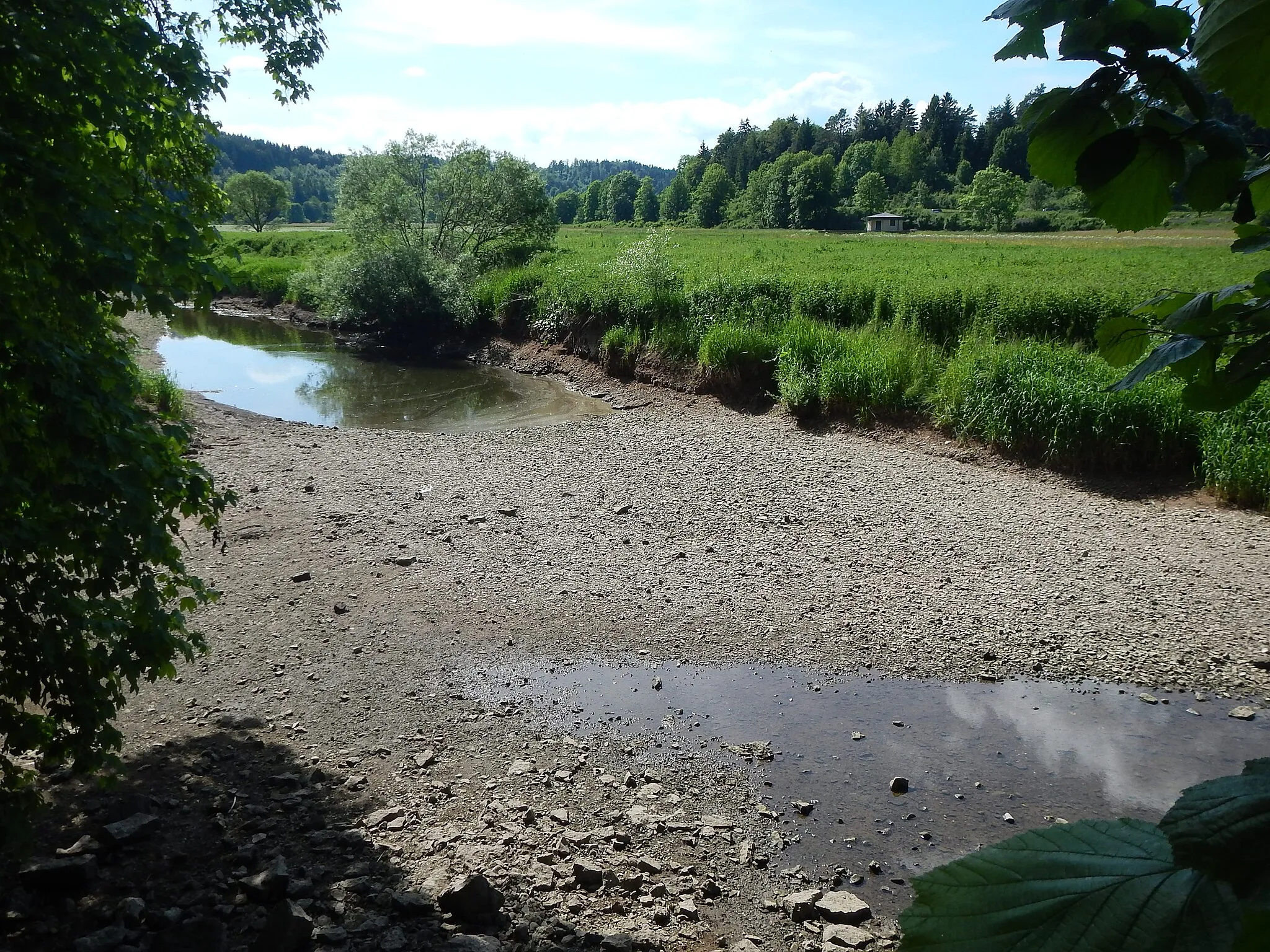 Photo showing: Donauversickerung bei Immendingen