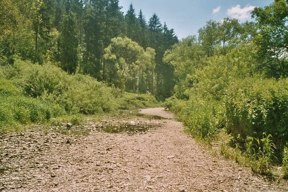 Photo showing: Die Versickerung der oberen Donau bei Immendingen